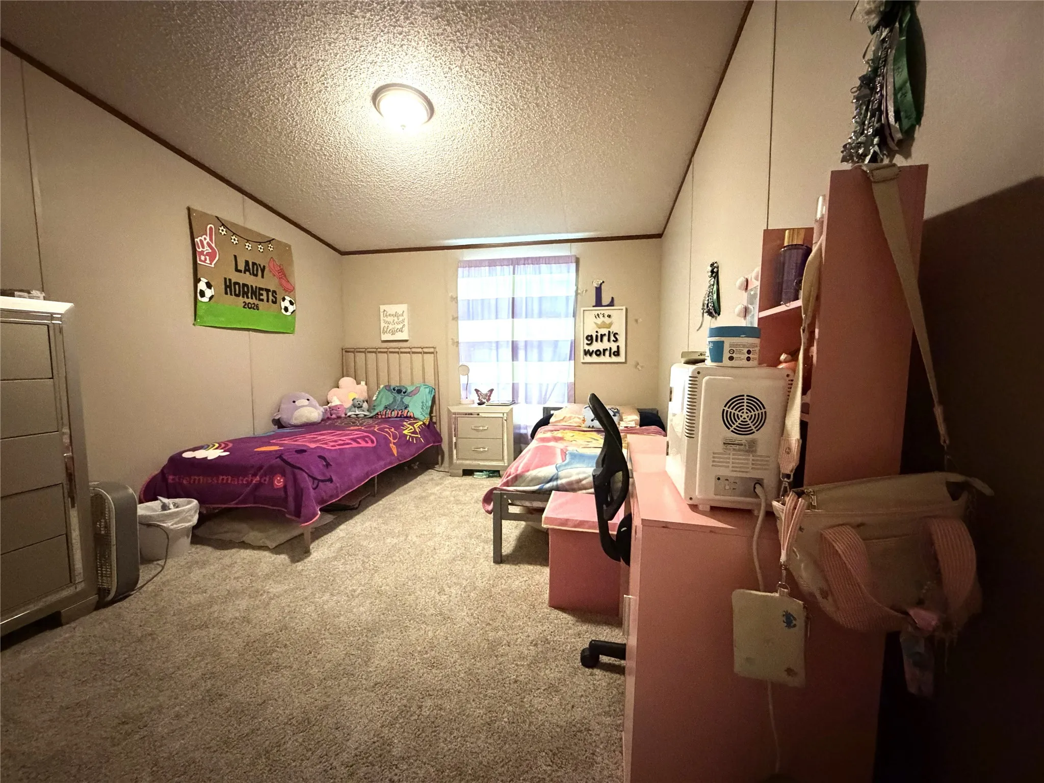 Spacious room featuring neutral wall paneling, light-colored carpet flooring, and a flush-mount ceiling light