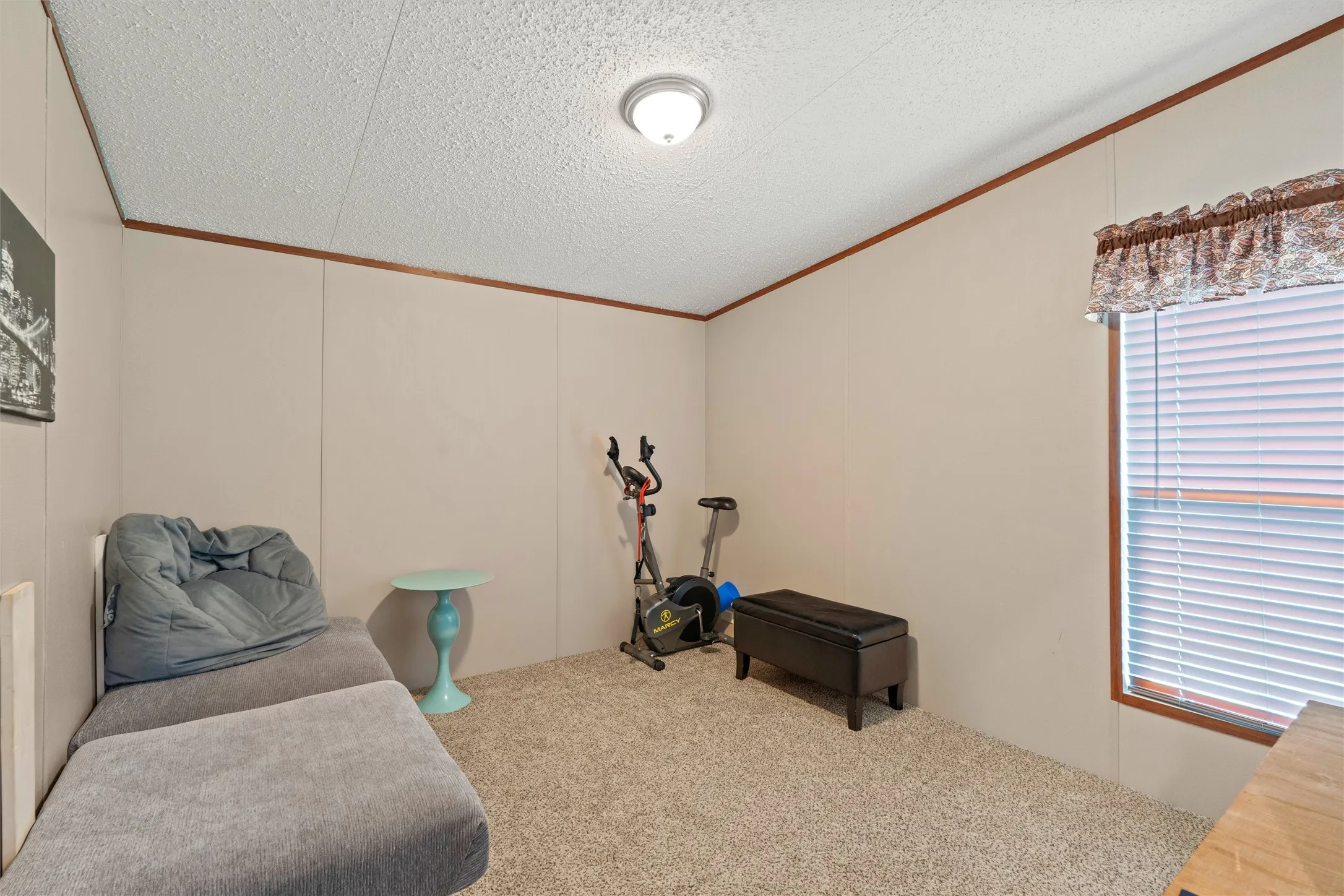 Carpeted room featuring a single window with blinds and valance, paneled walls with contrasting trim, and a ceiling-mounted light fixture