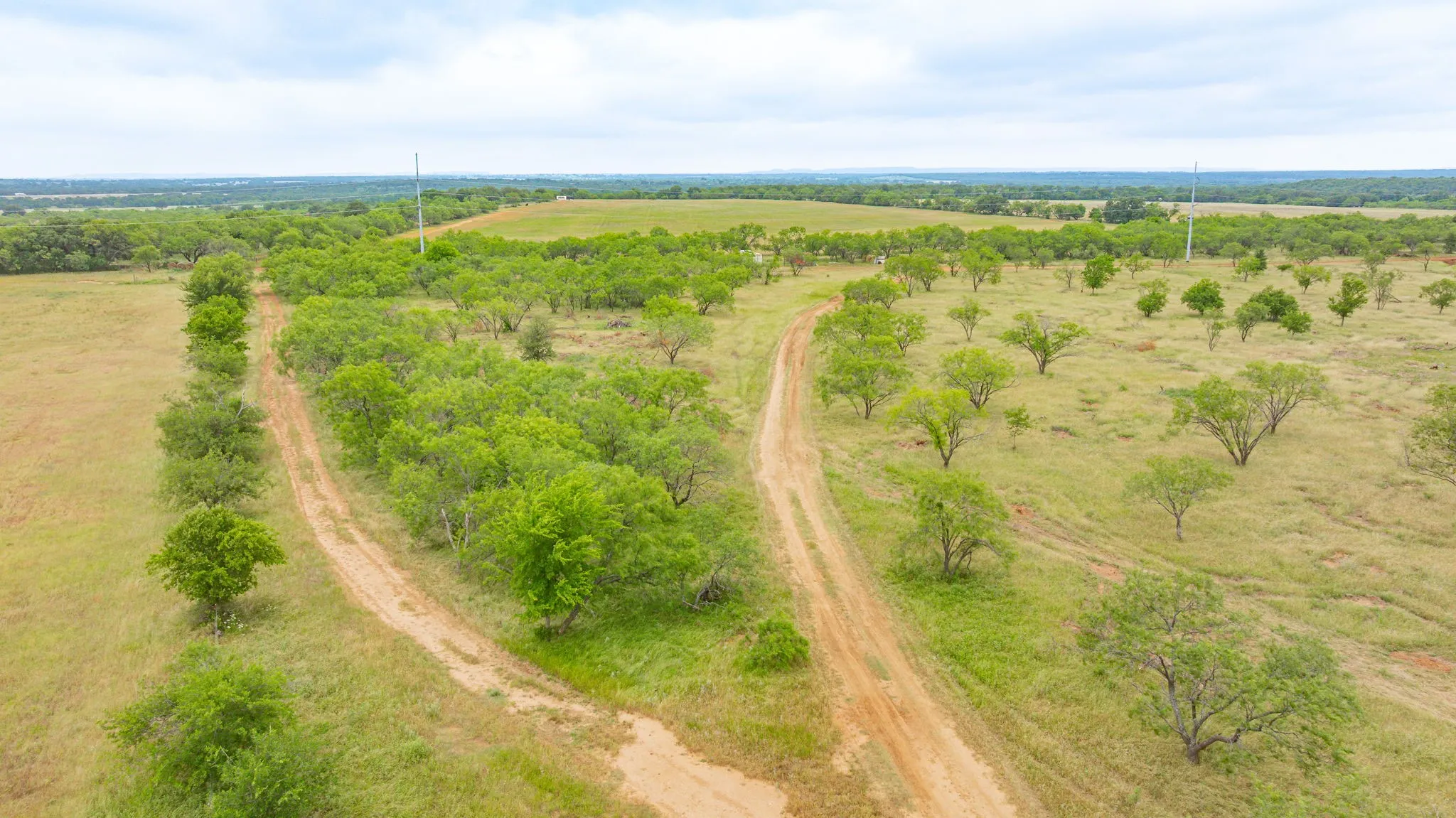 Improved Land For Sale in Comanche County , 983 County Road 185, Comanche, Texas 76442, 0, 0, Garage spaces, 0 Sqft, built in 2023, mls#21293493, Real Estate Agent in Comanche, Homes For Sale in Comanche county, Homes For Sale in Comanche, Realtor in Comanche Texas, Real Estate Brokerage Independent Realty Texas, Luminita Cordes Realtor