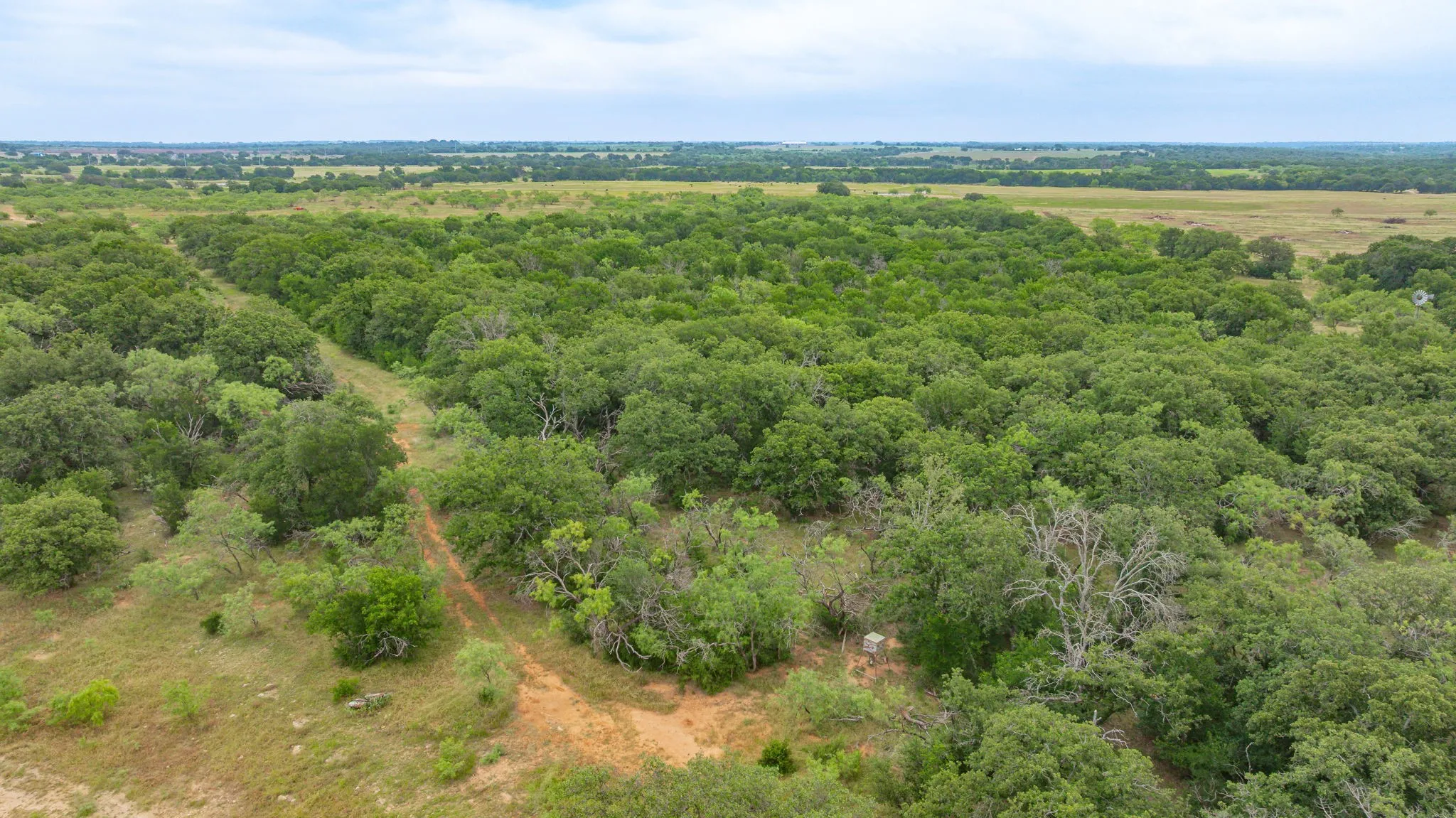 Improved Land For Sale in Comanche County , 983 County Road 185, Comanche, Texas 76442, 0, 0, Garage spaces, 0 Sqft, built in 2023, mls#21293493, Real Estate Agent in Comanche, Homes For Sale in Comanche county, Homes For Sale in Comanche, Realtor in Comanche Texas, Real Estate Brokerage Independent Realty Texas, Luminita Cordes Realtor