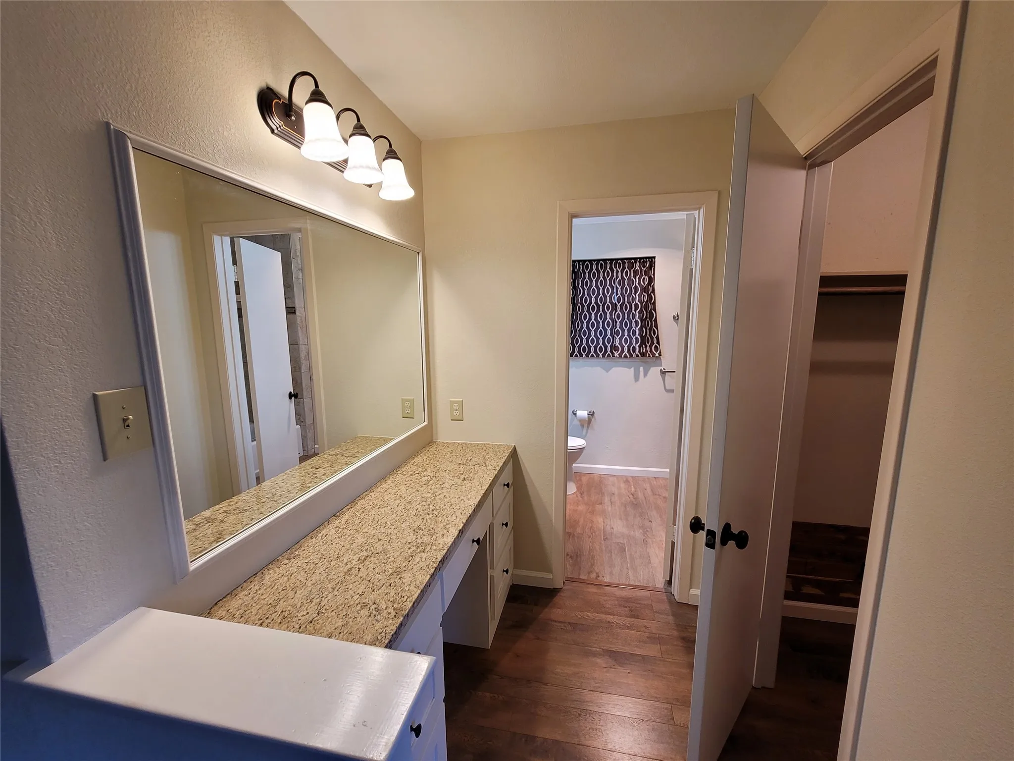 Vanity & closet in master bedroom