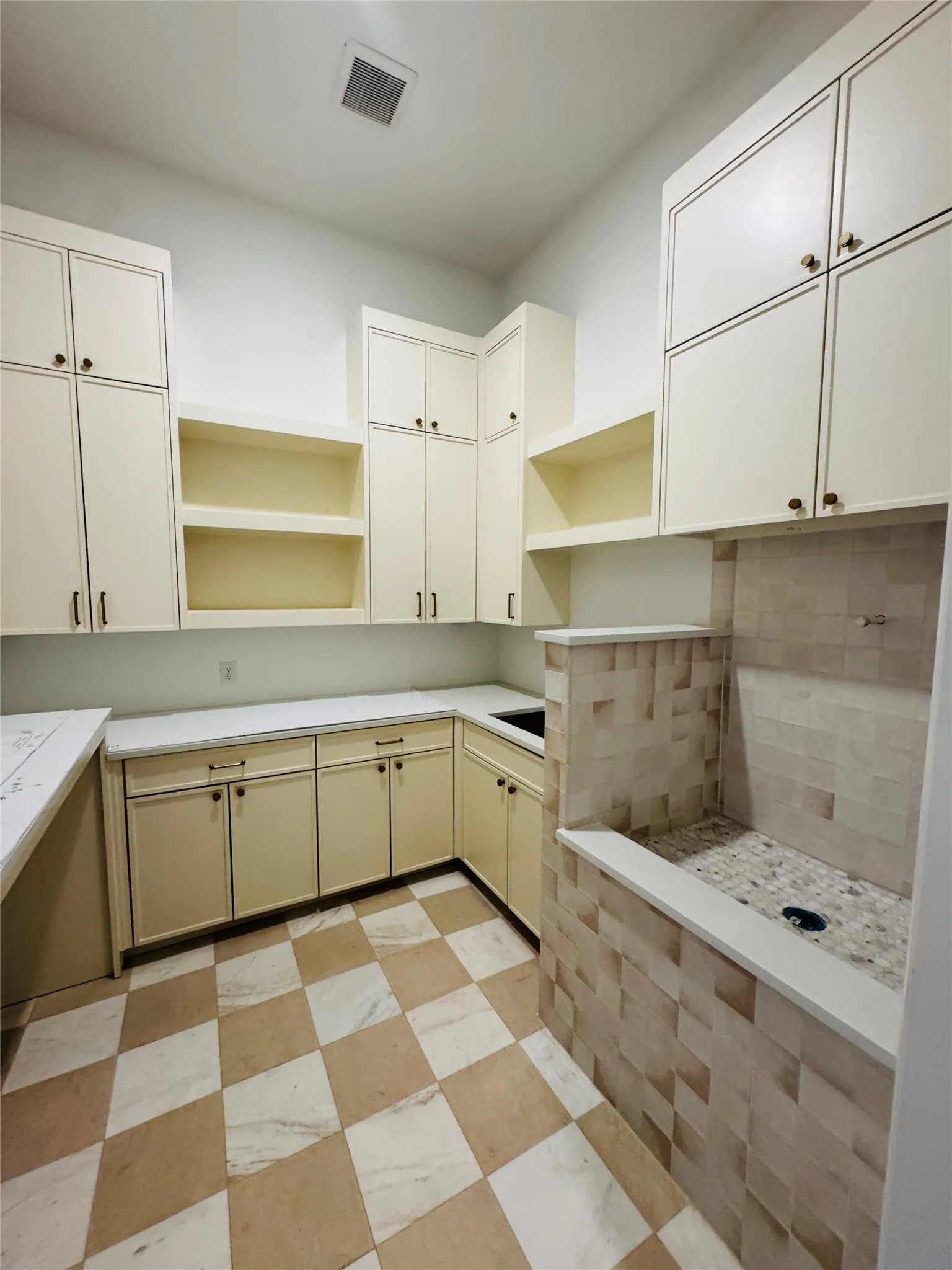 Utility Rm with Pet Bath