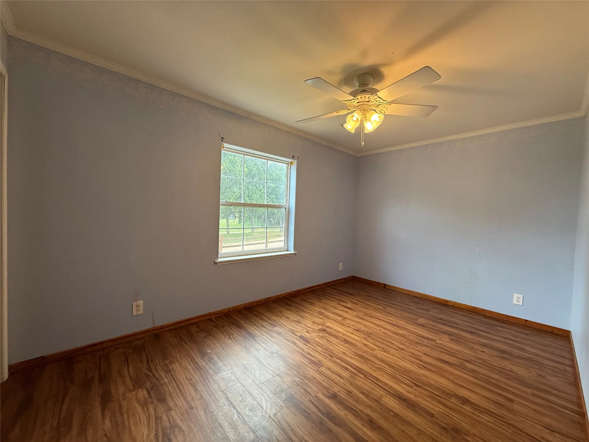 Light blue painted walls with white crown molding