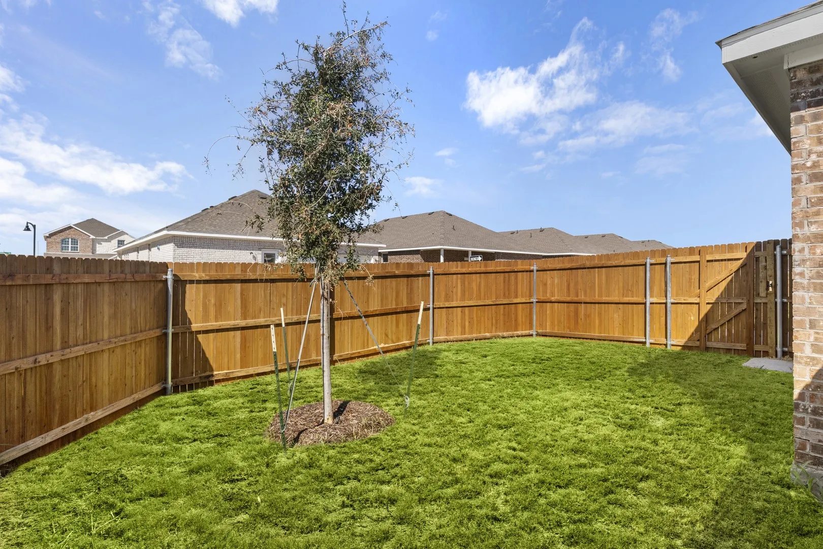 28_1540 wallaby wy-06