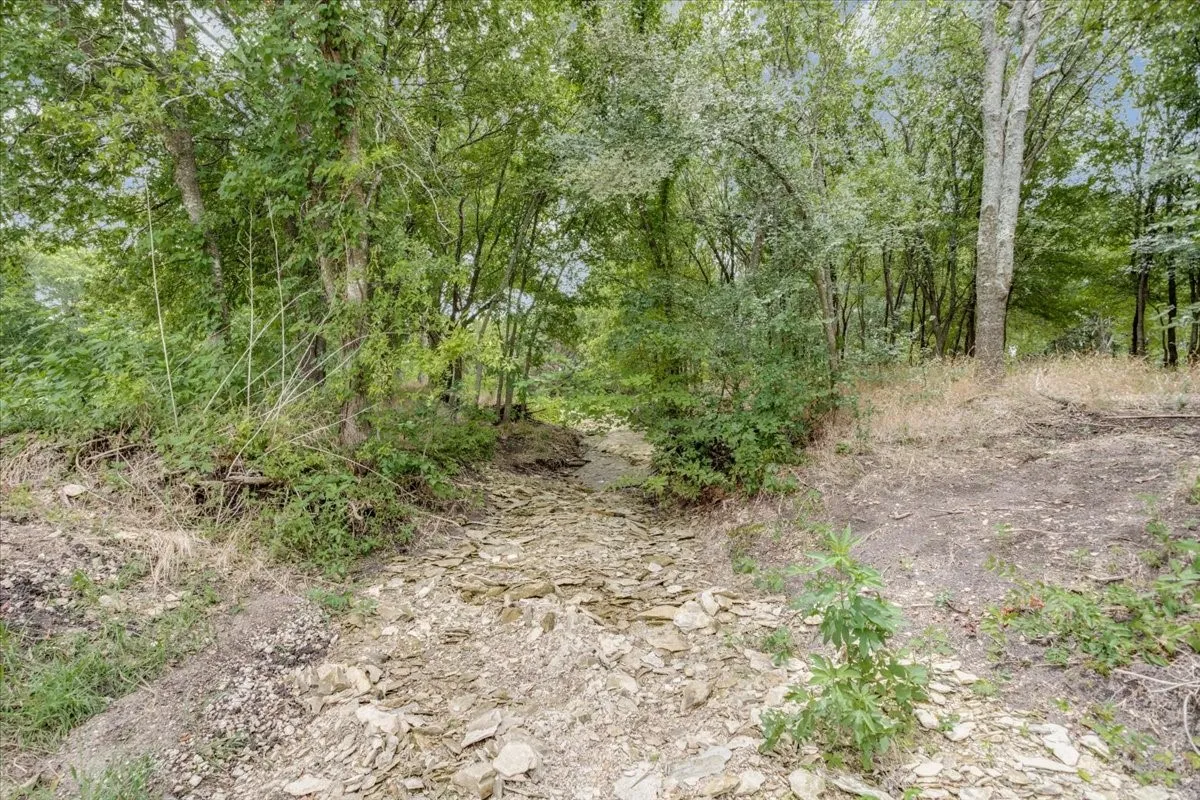 Wooded lot featuring a natural, rocky creek bed and mature trees