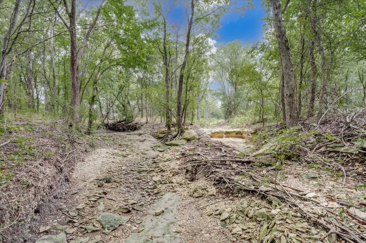 Wooded landscape featuring a dry creek bed with exposed rock formations