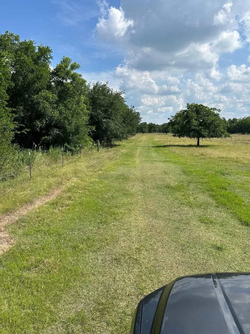 Improved Land For Sale in Hill County , 454 HCR 2129 W, Whitney, Texas 76692, 0, 0, Garage spaces, 0 Sqft, built in 0, Price $239,900, mls#21293768, Real Estate Agent in Whitney, Homes For Sale in Hill county, Homes For Sale in Whitney, Realtor in Whitney Texas, Real Estate Brokerage Independent Realty Texas, Luminita Cordes Realtor