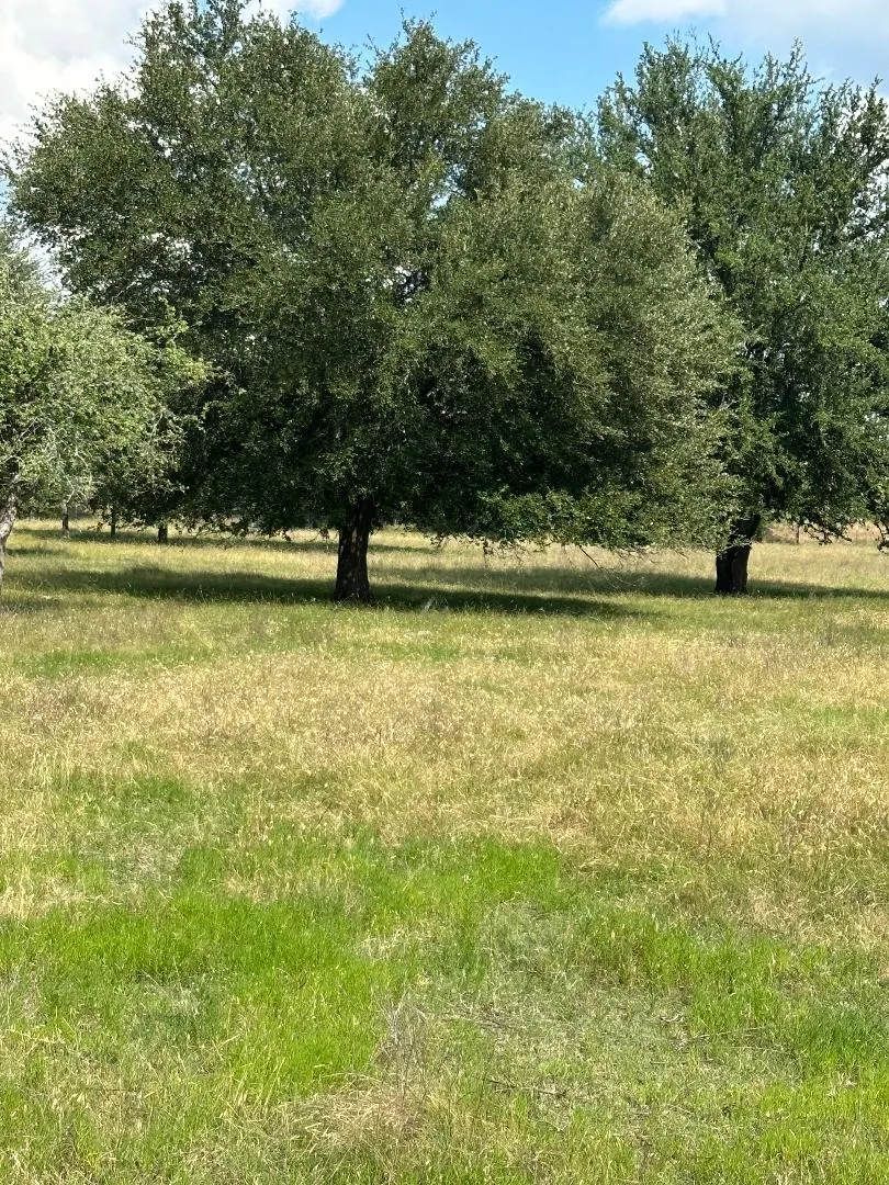 Improved Land For Sale in Hill County , 454 HCR 2129 W, Whitney, Texas 76692, 0, 0, Garage spaces, 0 Sqft, built in 0, Price $239,900, mls#21293768, Real Estate Agent in Whitney, Homes For Sale in Hill county, Homes For Sale in Whitney, Realtor in Whitney Texas, Real Estate Brokerage Independent Realty Texas, Luminita Cordes Realtor