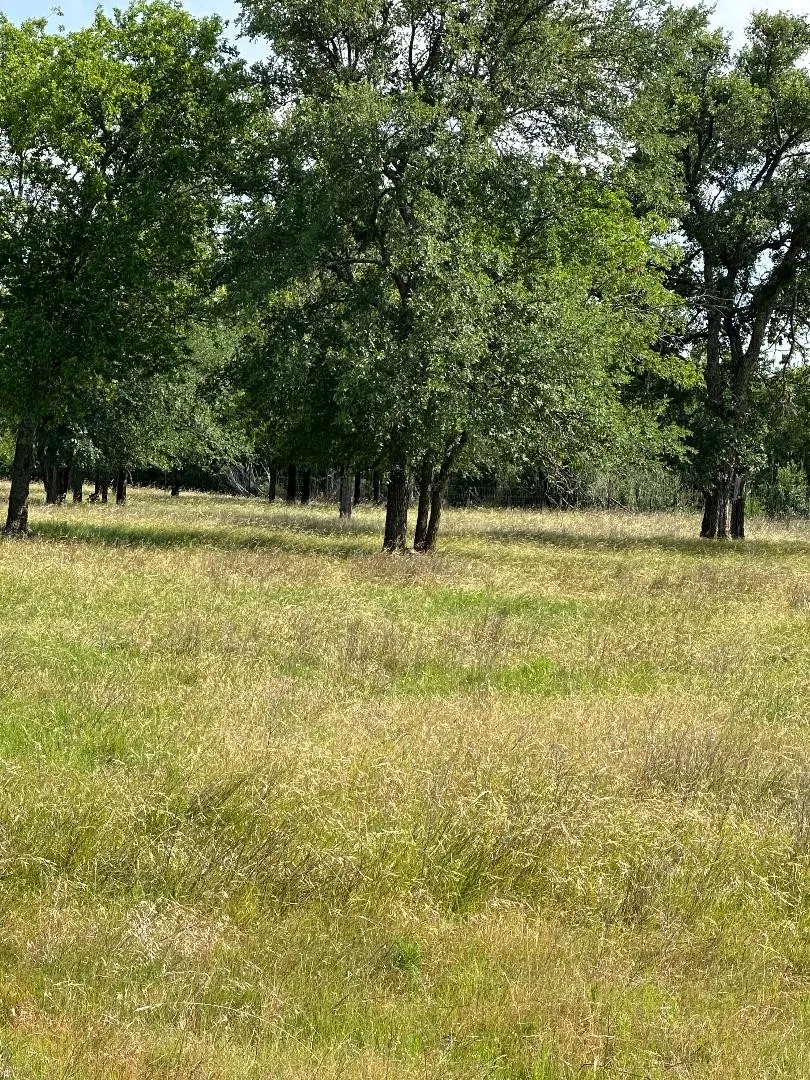 Improved Land For Sale in Hill County , 454 HCR 2129 W, Whitney, Texas 76692, 0, 0, Garage spaces, 0 Sqft, built in 0, Price $239,900, mls#21293768, Real Estate Agent in Whitney, Homes For Sale in Hill county, Homes For Sale in Whitney, Realtor in Whitney Texas, Real Estate Brokerage Independent Realty Texas, Luminita Cordes Realtor