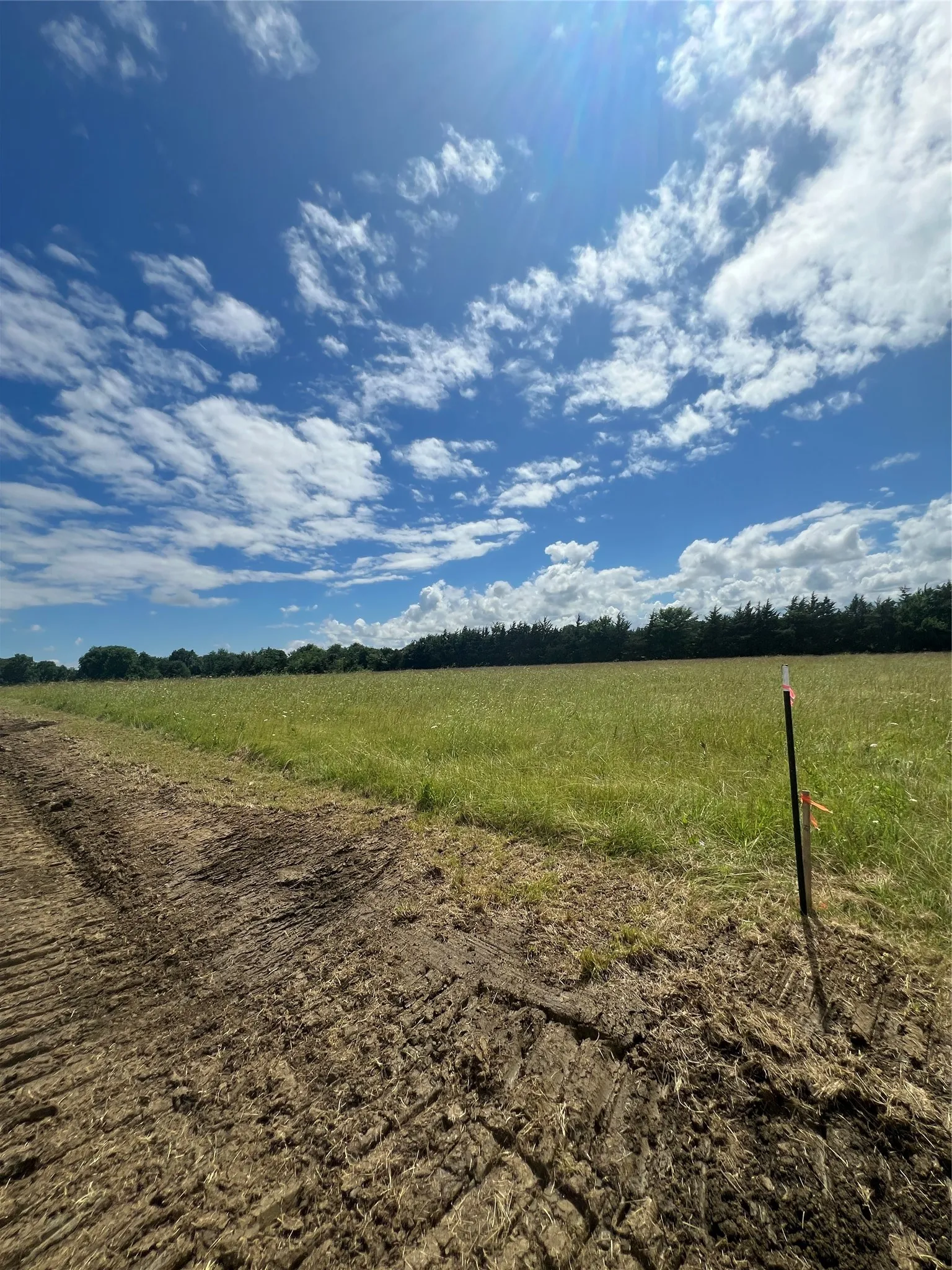 Improved Land For Sale in Lamar County , 195 PR 33267, Sumner, Texas 75486, 0, 0, Garage spaces, 0 Sqft, built in 0, Price $35,750, mls#21293769, Real Estate Agent in Sumner, Homes For Sale in Lamar county, Homes For Sale in Sumner, Realtor in Sumner Texas, Real Estate Brokerage Independent Realty Texas, Luminita Cordes Realtor
