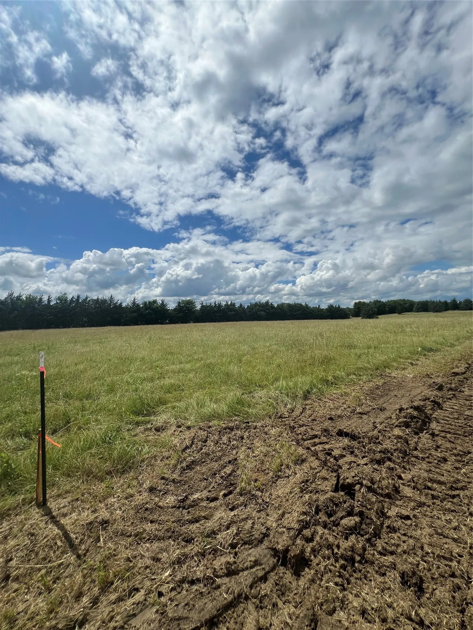 Improved Land For Sale in Lamar County , 195 PR 33267, Sumner, Texas 75486, 0, 0, Garage spaces, 0 Sqft, built in 0, Price $35,750, mls#21293769, Real Estate Agent in Sumner, Homes For Sale in Lamar county, Homes For Sale in Sumner, Realtor in Sumner Texas, Real Estate Brokerage Independent Realty Texas, Luminita Cordes Realtor