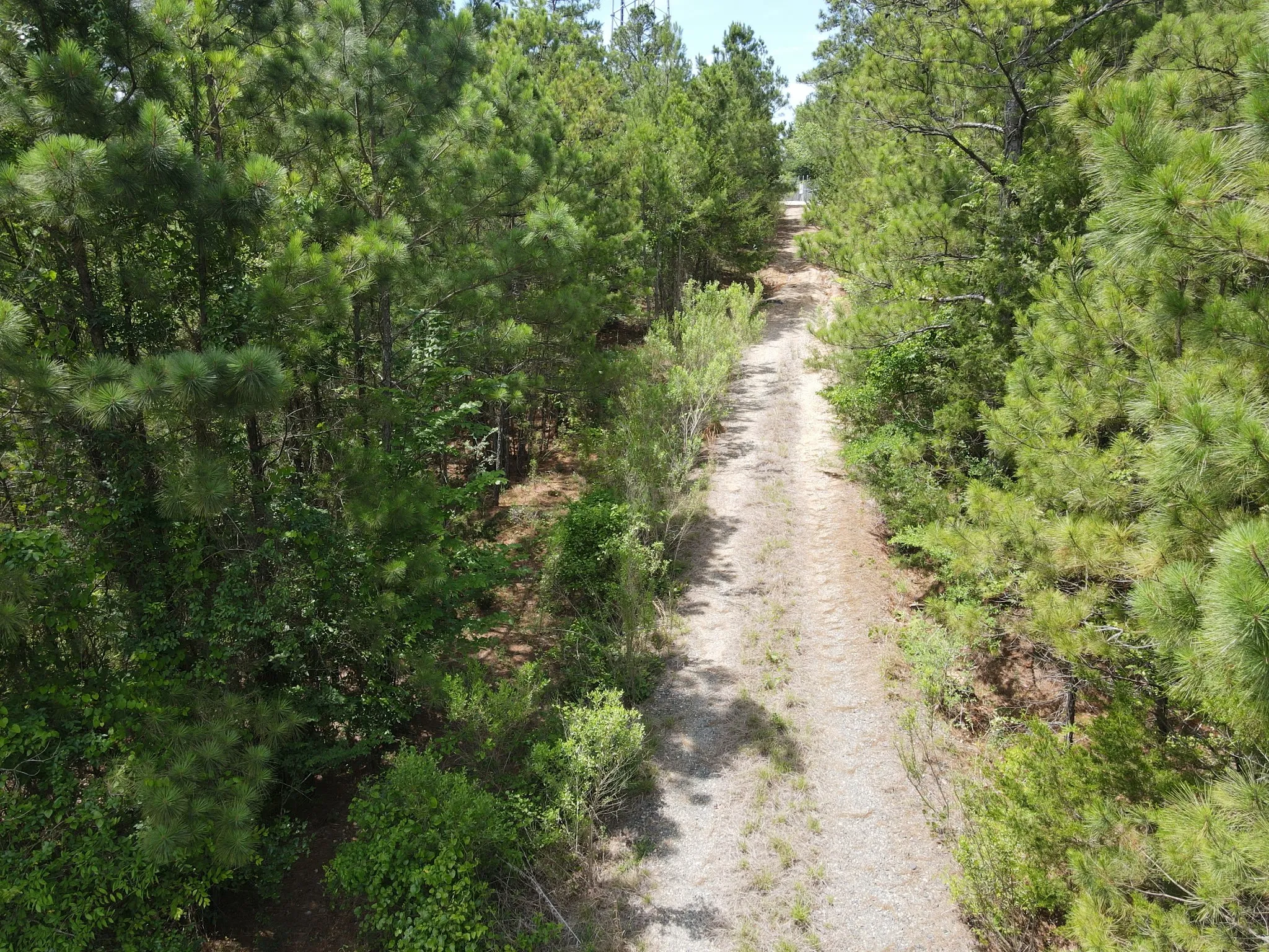 Unimproved Land For Sale in Van Zandt County , TBD 16 +/- AC VZ County Road 4814, Ben Wheeler, Texas 75754, 0, 0, Garage spaces, 0 Sqft, built in 0, mls#21293794, Real Estate Agent in Ben Wheeler, Homes For Sale in Van Zandt county, Homes For Sale in Ben Wheeler, Realtor in Ben Wheeler Texas, Real Estate Brokerage Independent Realty Texas, Luminita Cordes Realtor