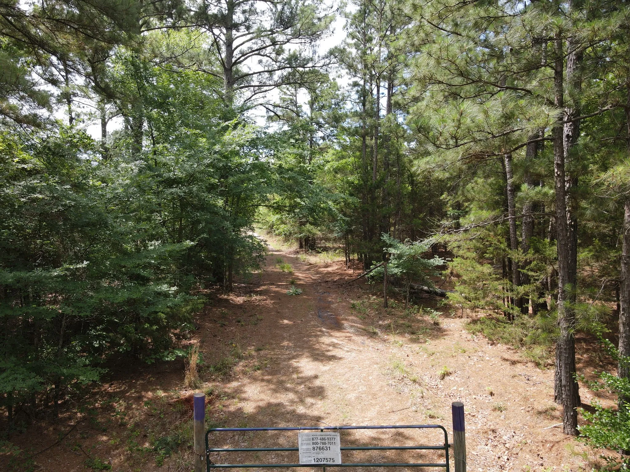 Unimproved Land For Sale in Van Zandt County , TBD 16 +/- AC VZ County Road 4814, Ben Wheeler, Texas 75754, 0, 0, Garage spaces, 0 Sqft, built in 0, mls#21293794, Real Estate Agent in Ben Wheeler, Homes For Sale in Van Zandt county, Homes For Sale in Ben Wheeler, Realtor in Ben Wheeler Texas, Real Estate Brokerage Independent Realty Texas, Luminita Cordes Realtor