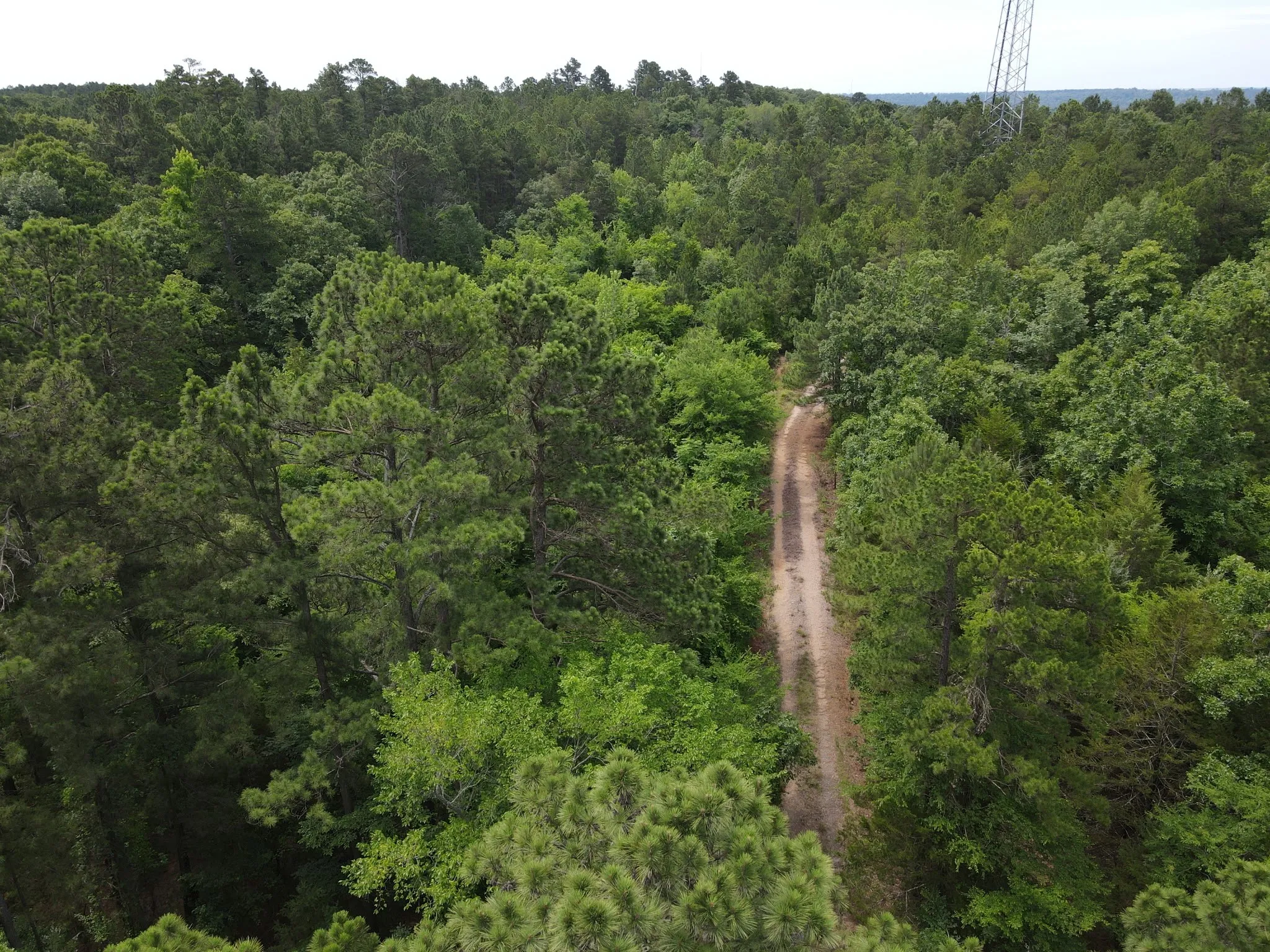 Unimproved Land For Sale in Van Zandt County , TBD 16 +/- AC VZ County Road 4814, Ben Wheeler, Texas 75754, 0, 0, Garage spaces, 0 Sqft, built in 0, mls#21293794, Real Estate Agent in Ben Wheeler, Homes For Sale in Van Zandt county, Homes For Sale in Ben Wheeler, Realtor in Ben Wheeler Texas, Real Estate Brokerage Independent Realty Texas, Luminita Cordes Realtor