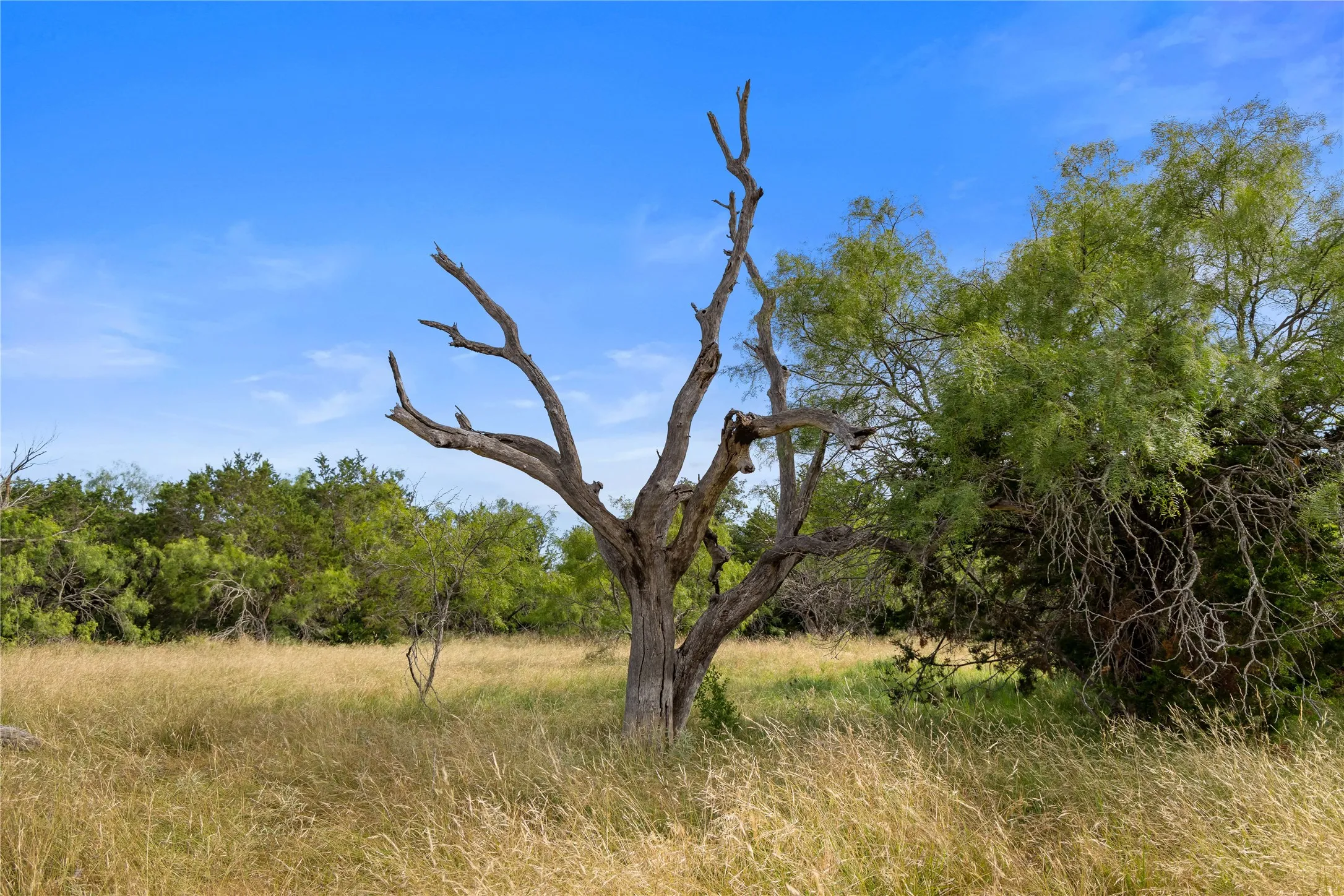 Ranch For Sale in Palo Pinto County , TBD FM 1148, Graham, Texas 76450, 0, 0, Garage spaces, 0 Sqft, built in 0, Price $12,995,100, mls#21291125, Real Estate Agent in Graham, Homes For Sale in Palo Pinto county, Homes For Sale in Graham, Realtor in Graham Texas, Real Estate Brokerage Independent Realty Texas, Luminita Cordes Realtor