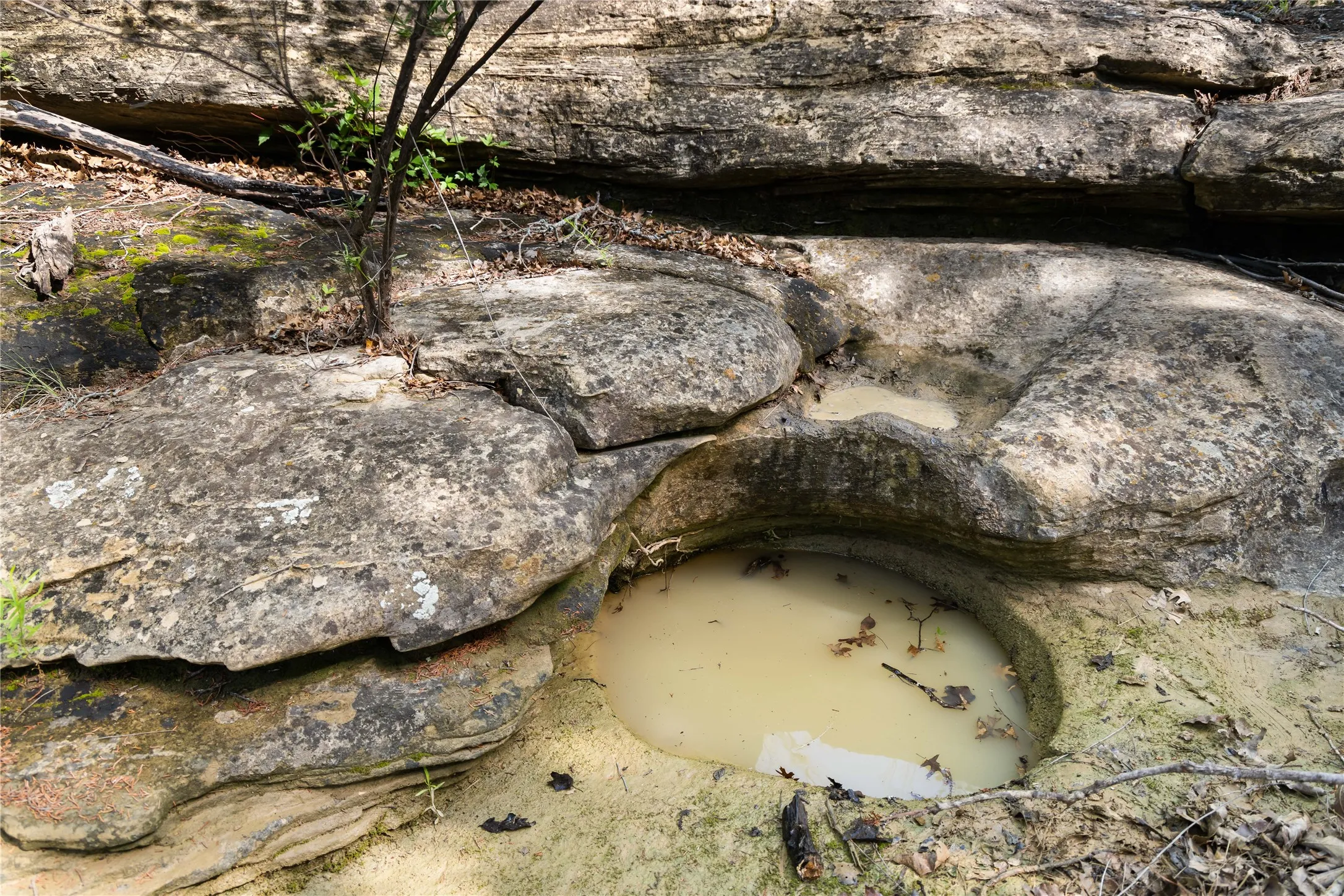 Ranch For Sale in Palo Pinto County , TBD FM 1148, Graham, Texas 76450, 0, 0, Garage spaces, 0 Sqft, built in 0, Price $12,995,100, mls#21291125, Real Estate Agent in Graham, Homes For Sale in Palo Pinto county, Homes For Sale in Graham, Realtor in Graham Texas, Real Estate Brokerage Independent Realty Texas, Luminita Cordes Realtor