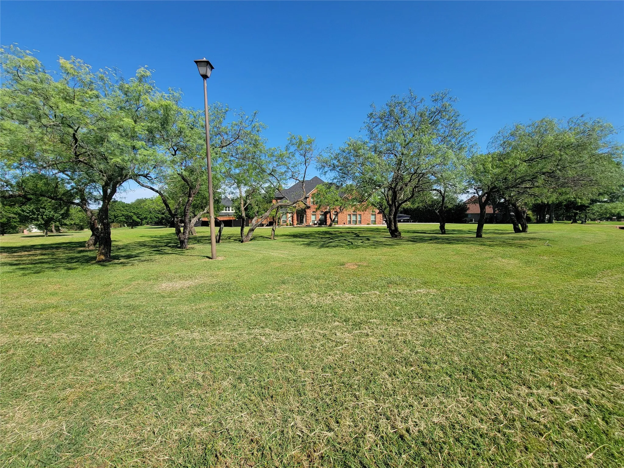 Expansive green lawn with mature trees and a street lamp