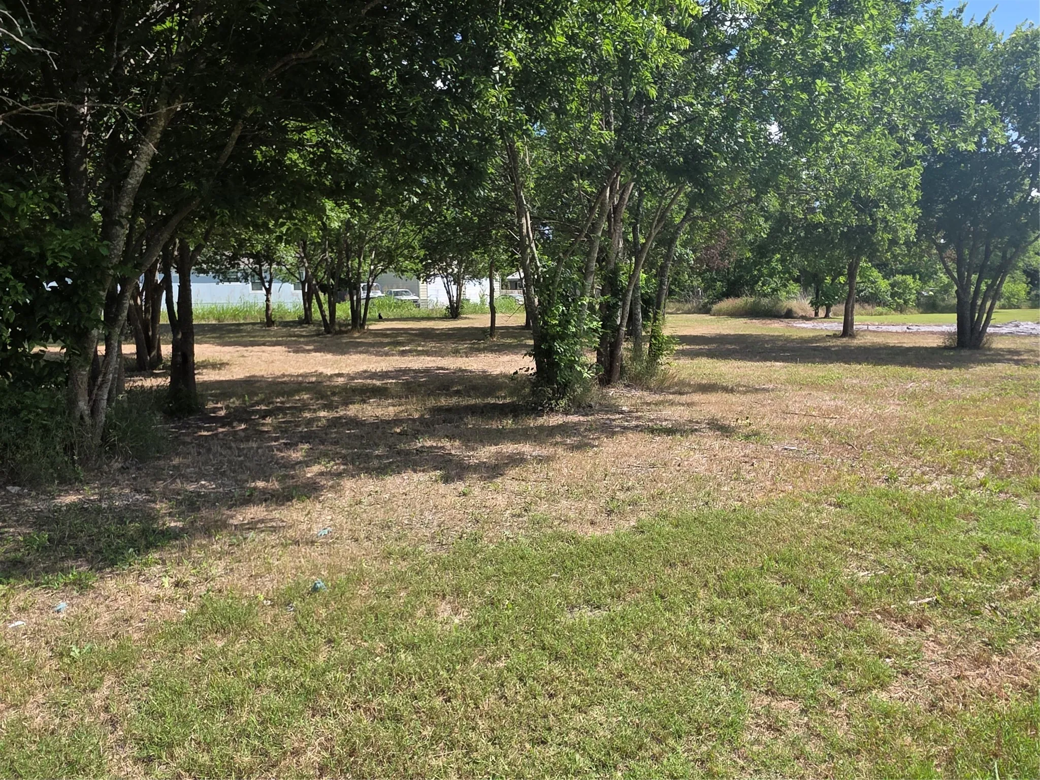 Unimproved Land For Sale in Mc Lennan County , TBD S Elm, Mart, Texas 76664, 0, 0, Garage spaces, 0 Sqft, built in 0, mls#21290991, Real Estate Agent in Mart, Homes For Sale in Mc Lennan county, Homes For Sale in Mart, Realtor in Mart Texas, Real Estate Brokerage Independent Realty Texas, Luminita Cordes Realtor