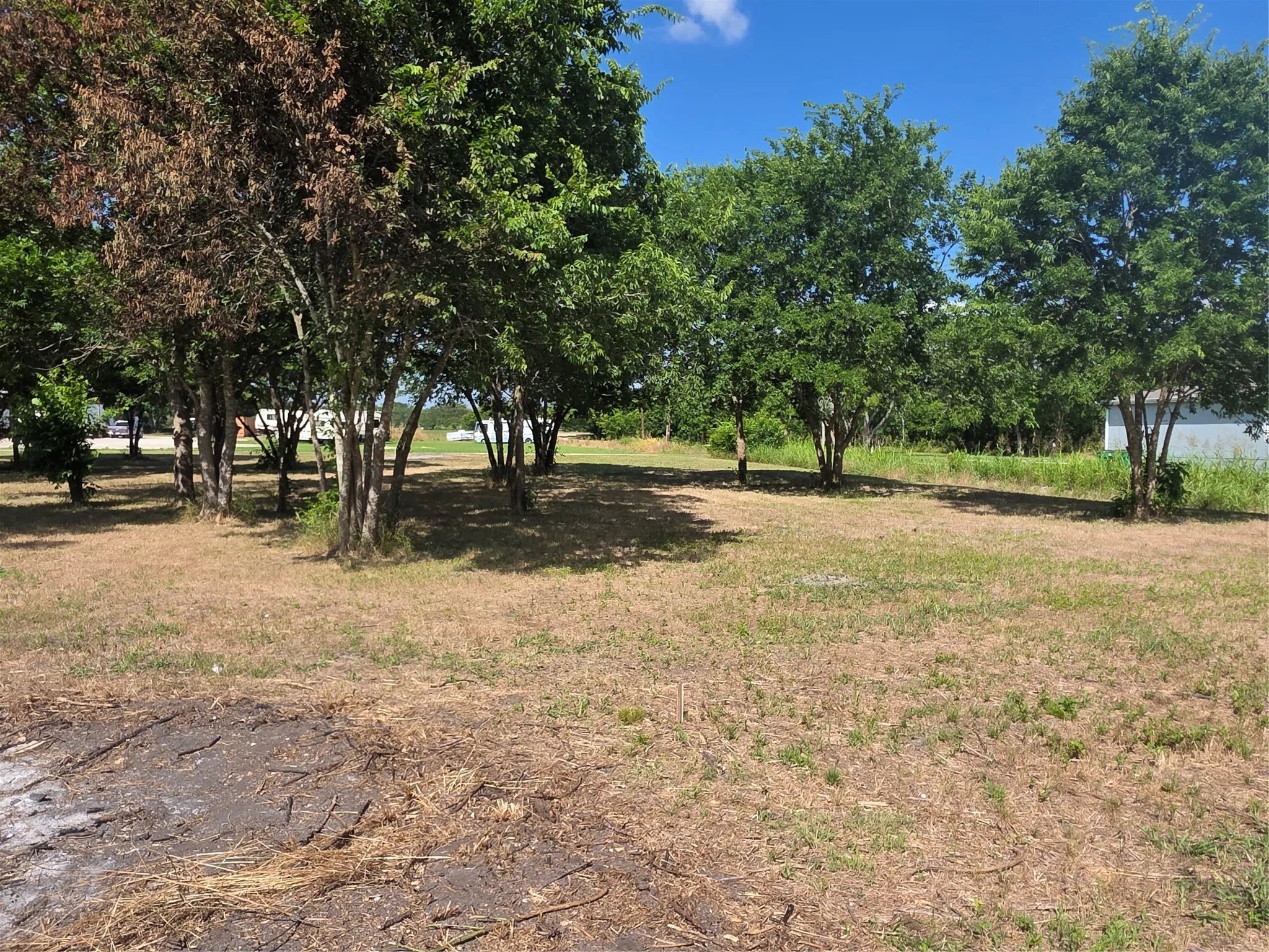 view from back of lot