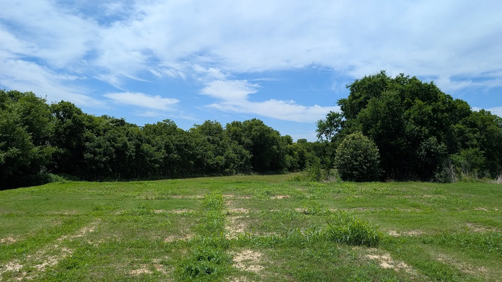 Improved Land For Sale in Mc Lennan County , 209 Rosetree Court, Hewitt, Texas 76643, 0, 0, Garage spaces, 0 Sqft, built in 0, Price $119,000, mls#21293967, Real Estate Agent in Hewitt, Homes For Sale in Mc Lennan county, Homes For Sale in Hewitt, Realtor in Hewitt Texas, Real Estate Brokerage Independent Realty Texas, Luminita Cordes Realtor