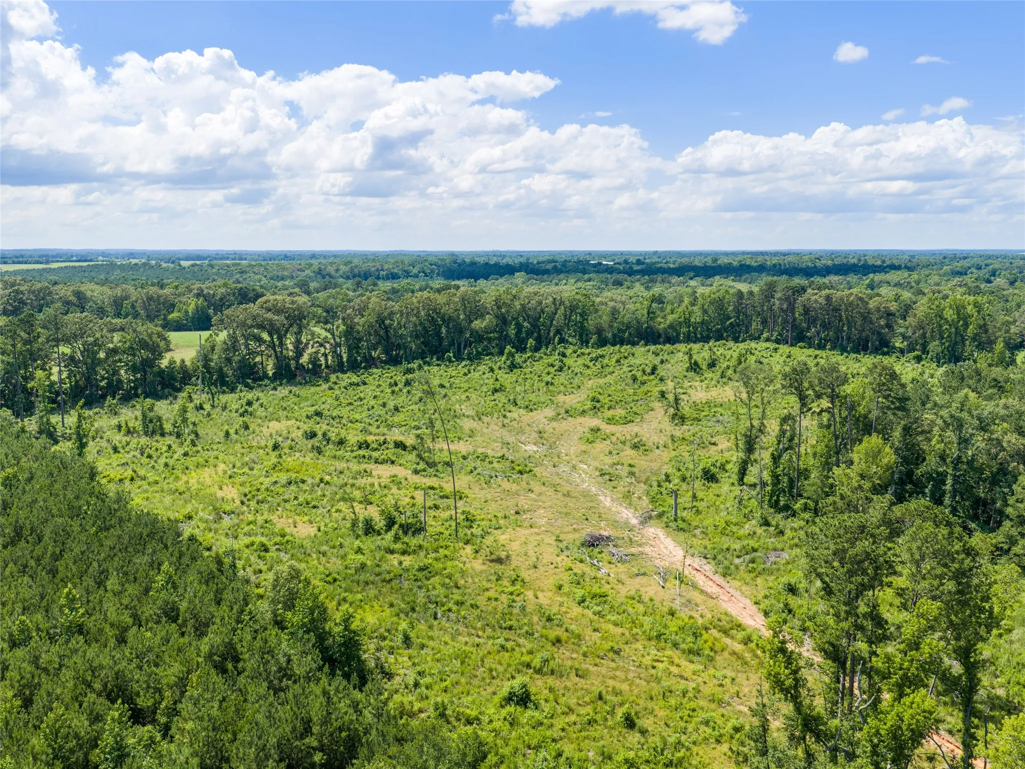 Unimproved Land For Sale in Upshur County , TBD Mule Deer RD Road, Gilmer, Texas 75644, 0, 0, Garage spaces, 0 Sqft, built in 0, Price $153,000, mls#21293971, Real Estate Agent in Gilmer, Homes For Sale in Upshur county, Homes For Sale in Gilmer, Realtor in Gilmer Texas, Real Estate Brokerage Independent Realty Texas, Luminita Cordes Realtor