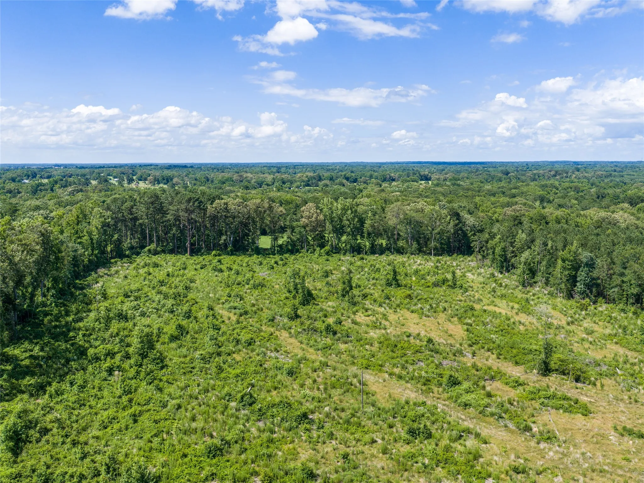 Unimproved Land For Sale in Upshur County , TBD Mule Deer RD Road, Gilmer, Texas 75644, 0, 0, Garage spaces, 0 Sqft, built in 0, Price $153,000, mls#21293971, Real Estate Agent in Gilmer, Homes For Sale in Upshur county, Homes For Sale in Gilmer, Realtor in Gilmer Texas, Real Estate Brokerage Independent Realty Texas, Luminita Cordes Realtor