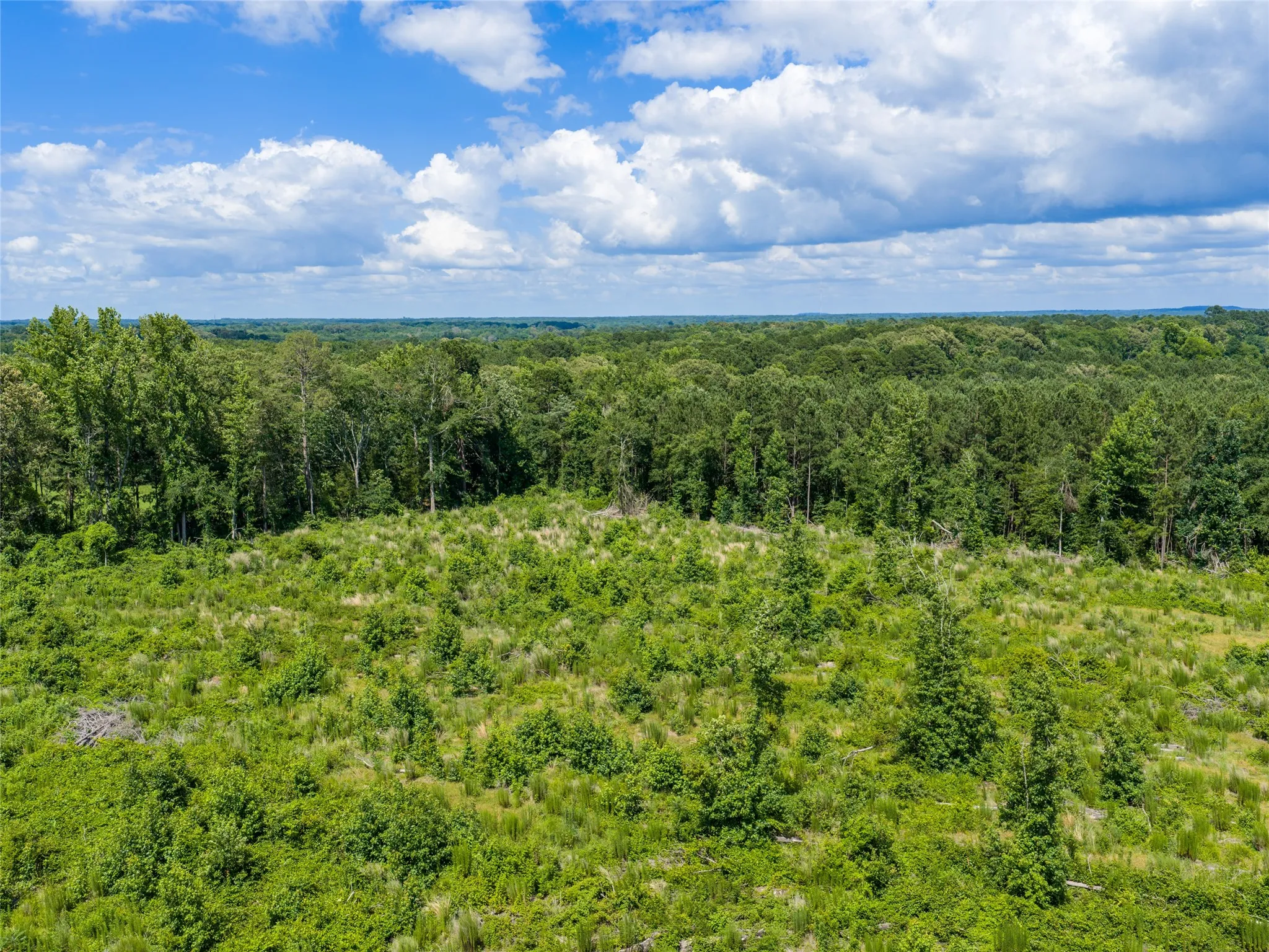 Unimproved Land For Sale in Upshur County , TBD Mule Deer RD Road, Gilmer, Texas 75644, 0, 0, Garage spaces, 0 Sqft, built in 0, Price $153,000, mls#21293971, Real Estate Agent in Gilmer, Homes For Sale in Upshur county, Homes For Sale in Gilmer, Realtor in Gilmer Texas, Real Estate Brokerage Independent Realty Texas, Luminita Cordes Realtor