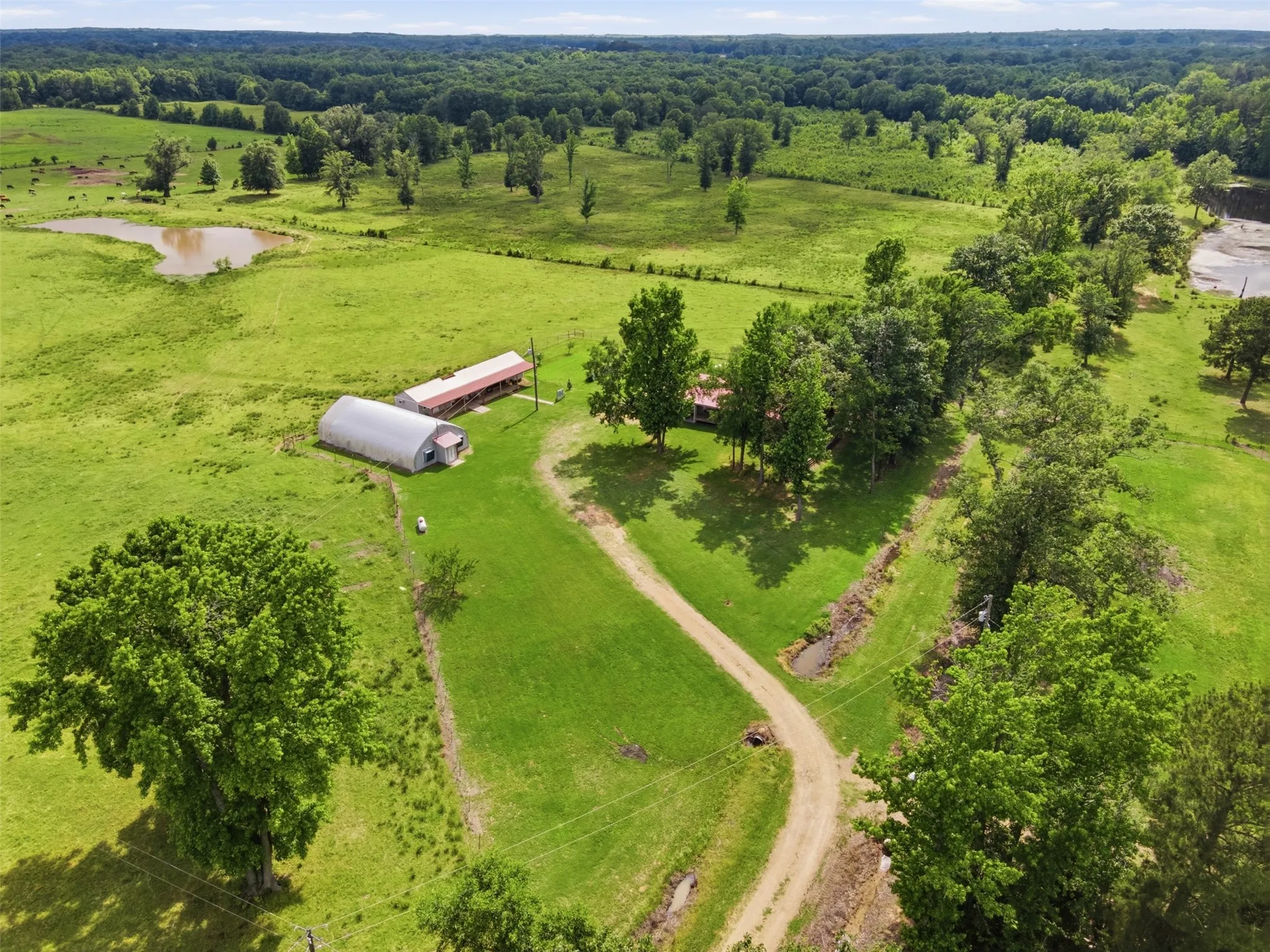 Ranch For Sale in Bowie County , 254 County Road 4129, New Boston, Texas 75570, 0, 0, Garage spaces, 0 Sqft, built in 0, mls#21293975, Real Estate Agent in New Boston, Homes For Sale in Bowie county, Homes For Sale in New Boston, Realtor in New Boston Texas, Real Estate Brokerage Independent Realty Texas, Luminita Cordes Realtor
