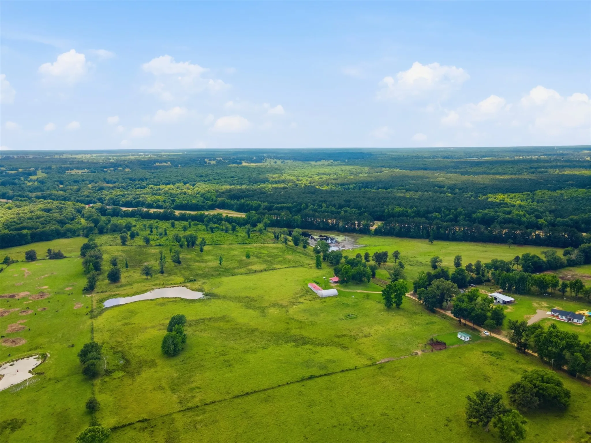 Ranch For Sale in Bowie County , 254 County Road 4129, New Boston, Texas 75570, 0, 0, Garage spaces, 0 Sqft, built in 0, mls#21293975, Real Estate Agent in New Boston, Homes For Sale in Bowie county, Homes For Sale in New Boston, Realtor in New Boston Texas, Real Estate Brokerage Independent Realty Texas, Luminita Cordes Realtor