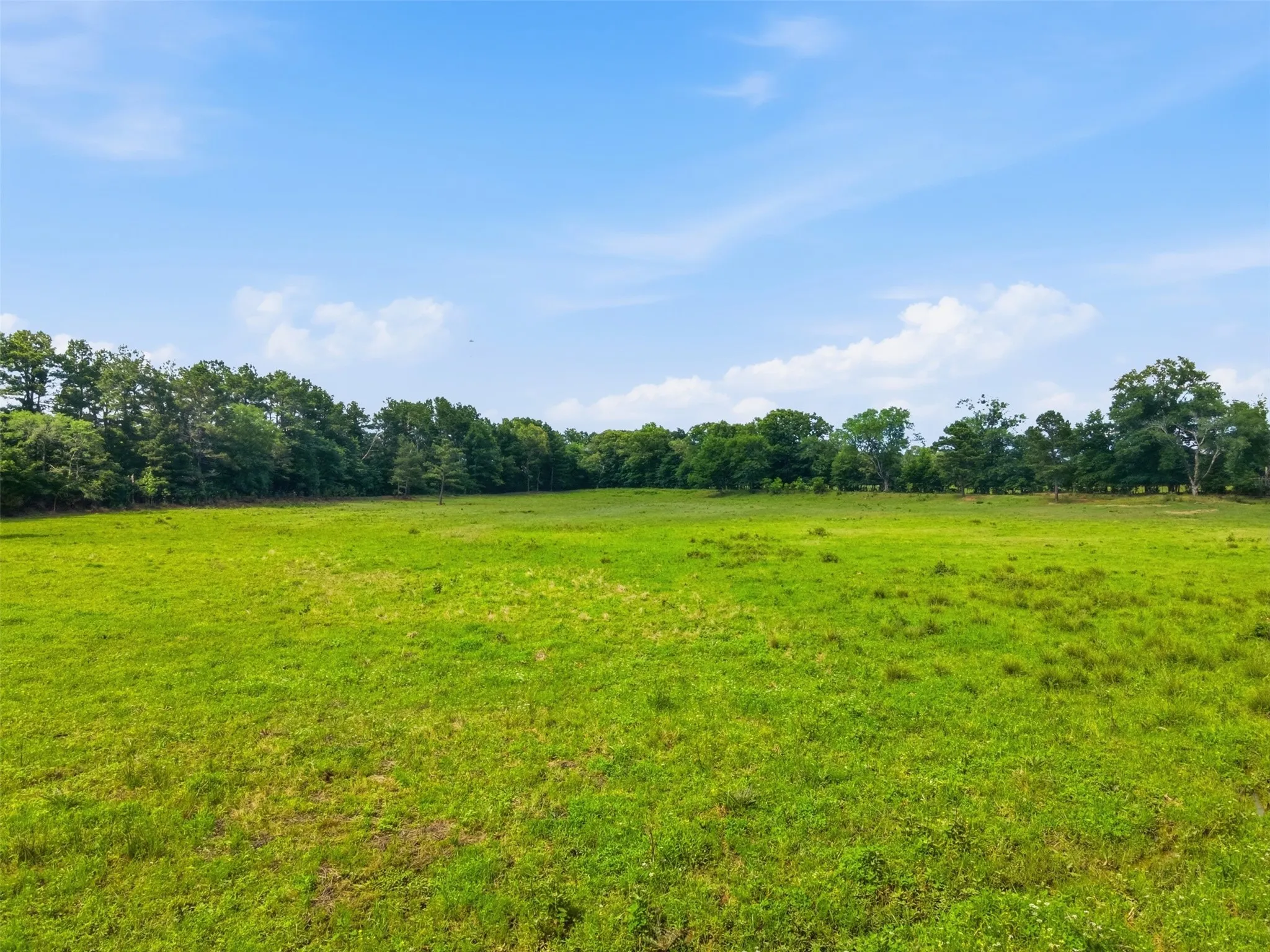 Ranch For Sale in Bowie County , 254 County Road 4129, New Boston, Texas 75570, 0, 0, Garage spaces, 0 Sqft, built in 0, mls#21293975, Real Estate Agent in New Boston, Homes For Sale in Bowie county, Homes For Sale in New Boston, Realtor in New Boston Texas, Real Estate Brokerage Independent Realty Texas, Luminita Cordes Realtor