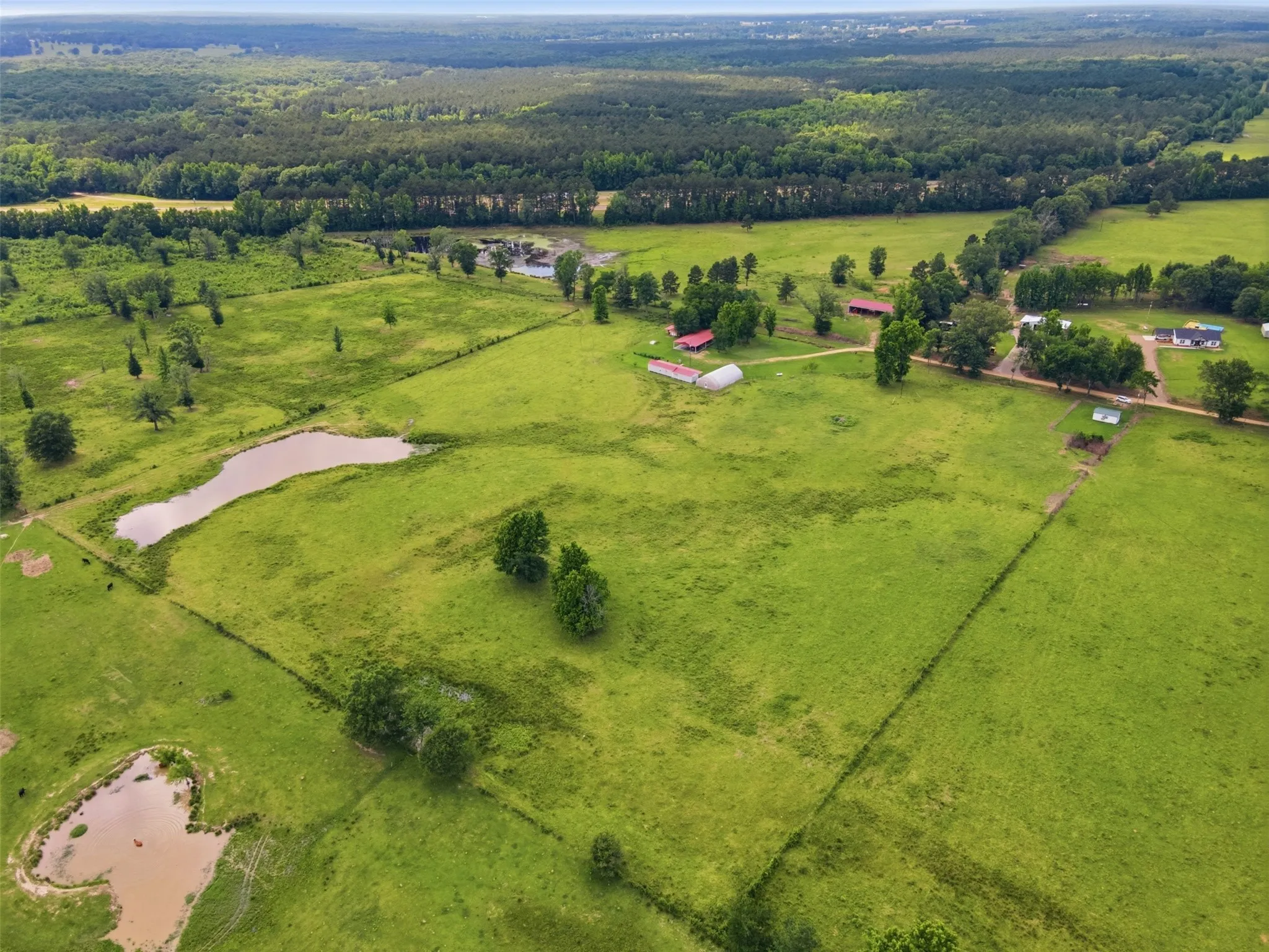 Ranch For Sale in Bowie County , 254 County Road 4129, New Boston, Texas 75570, 0, 0, Garage spaces, 0 Sqft, built in 0, mls#21293975, Real Estate Agent in New Boston, Homes For Sale in Bowie county, Homes For Sale in New Boston, Realtor in New Boston Texas, Real Estate Brokerage Independent Realty Texas, Luminita Cordes Realtor
