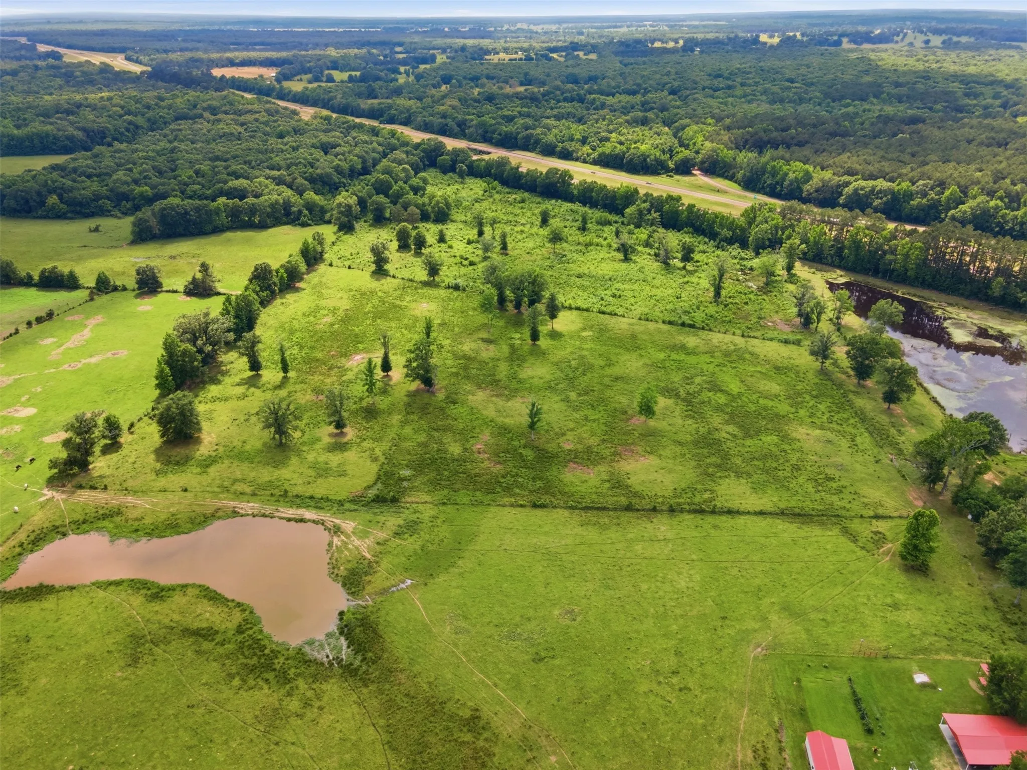 Ranch For Sale in Bowie County , 254 County Road 4129, New Boston, Texas 75570, 0, 0, Garage spaces, 0 Sqft, built in 0, mls#21293975, Real Estate Agent in New Boston, Homes For Sale in Bowie county, Homes For Sale in New Boston, Realtor in New Boston Texas, Real Estate Brokerage Independent Realty Texas, Luminita Cordes Realtor