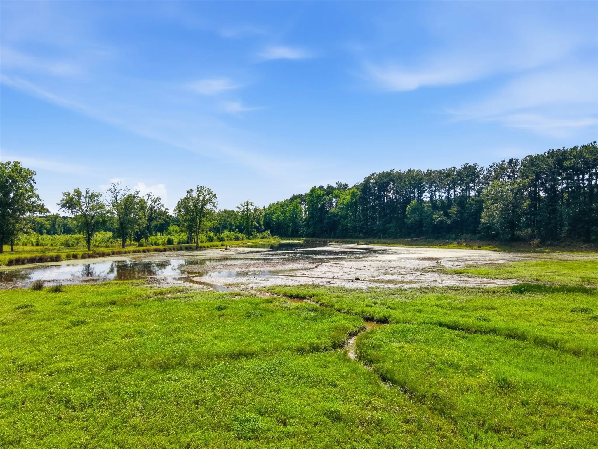 Ranch For Sale in Bowie County , 254 County Road 4129, New Boston, Texas 75570, 0, 0, Garage spaces, 0 Sqft, built in 0, mls#21293975, Real Estate Agent in New Boston, Homes For Sale in Bowie county, Homes For Sale in New Boston, Realtor in New Boston Texas, Real Estate Brokerage Independent Realty Texas, Luminita Cordes Realtor