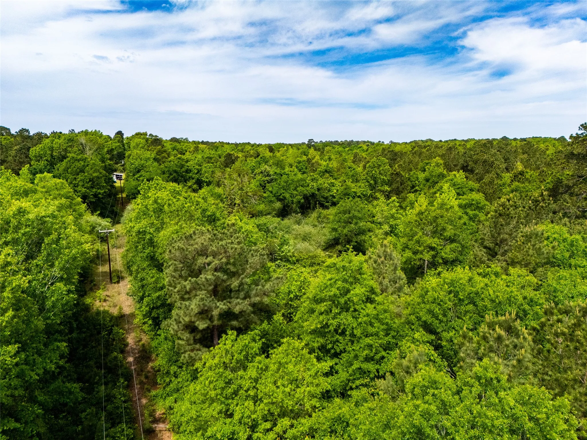 Unimproved Land For Sale in Upshur County , tbd White Oak Road, Big Sandy, Texas 75755, 0, 0, Garage spaces, 0 Sqft, built in 0, mls#21254182, Real Estate Agent in Big Sandy, Homes For Sale in Upshur county, Homes For Sale in Big Sandy, Realtor in Big Sandy Texas, Real Estate Brokerage Independent Realty Texas, Luminita Cordes Realtor