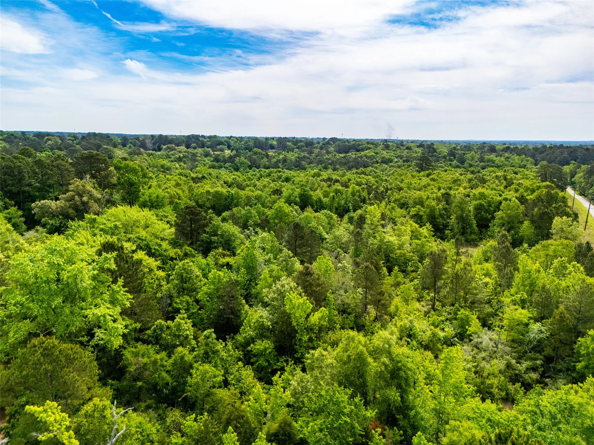 Unimproved Land For Sale in Upshur County , tbd White Oak Road, Big Sandy, Texas 75755, 0, 0, Garage spaces, 0 Sqft, built in 0, mls#21254182, Real Estate Agent in Big Sandy, Homes For Sale in Upshur county, Homes For Sale in Big Sandy, Realtor in Big Sandy Texas, Real Estate Brokerage Independent Realty Texas, Luminita Cordes Realtor