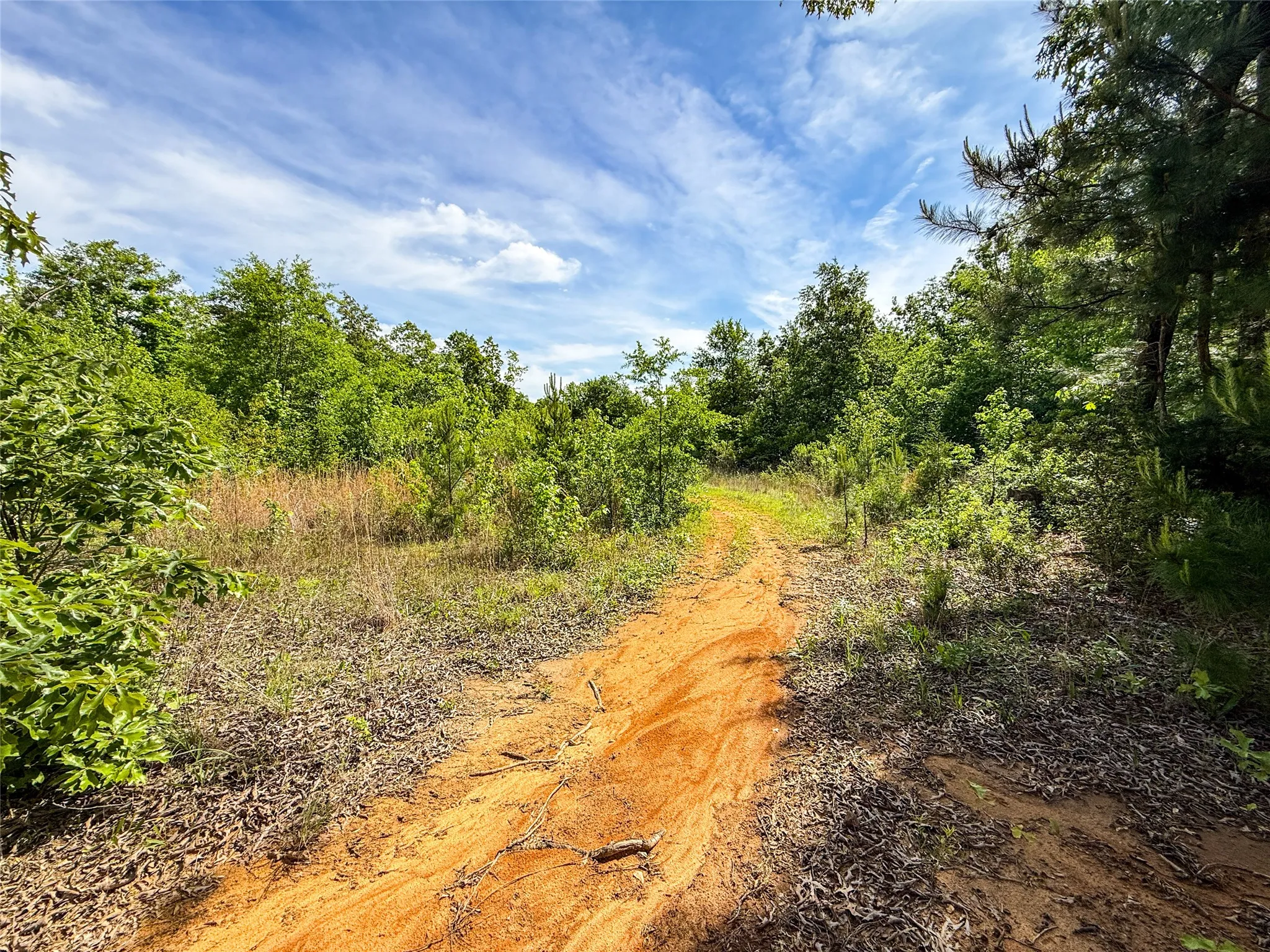 Unimproved Land For Sale in Upshur County , tbd White Oak Road, Big Sandy, Texas 75755, 0, 0, Garage spaces, 0 Sqft, built in 0, mls#21254182, Real Estate Agent in Big Sandy, Homes For Sale in Upshur county, Homes For Sale in Big Sandy, Realtor in Big Sandy Texas, Real Estate Brokerage Independent Realty Texas, Luminita Cordes Realtor