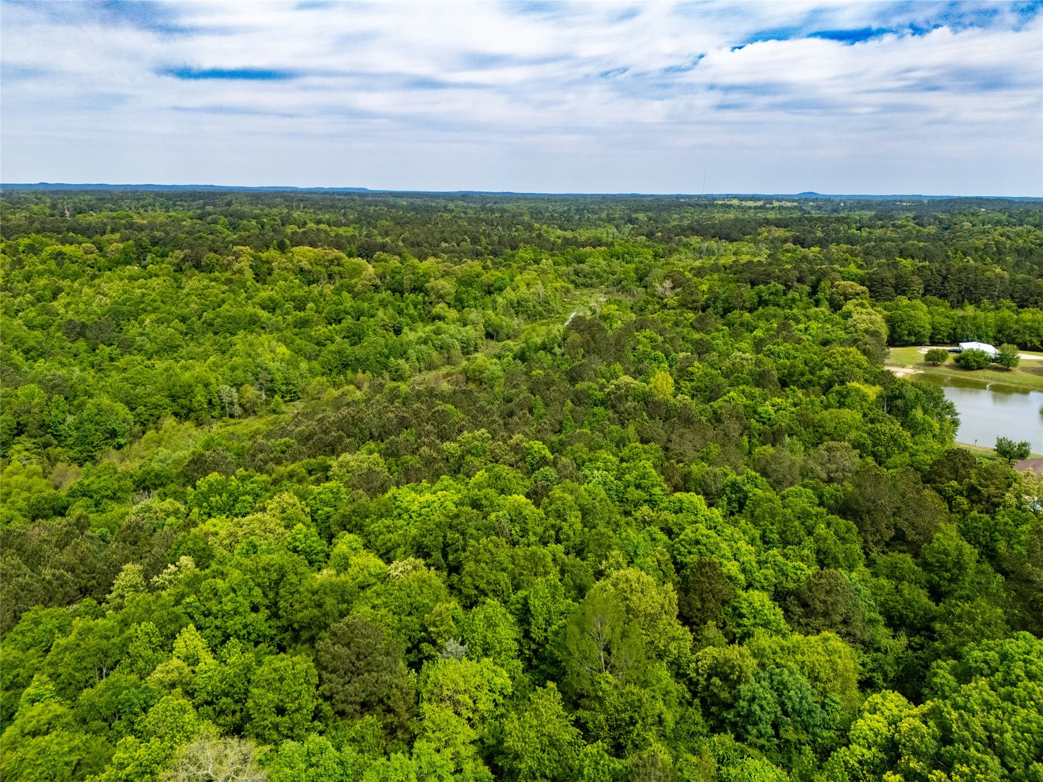Unimproved Land For Sale in Upshur County , tbd White Oak Road, Big Sandy, Texas 75755, 0, 0, Garage spaces, 0 Sqft, built in 0, mls#21254182, Real Estate Agent in Big Sandy, Homes For Sale in Upshur county, Homes For Sale in Big Sandy, Realtor in Big Sandy Texas, Real Estate Brokerage Independent Realty Texas, Luminita Cordes Realtor