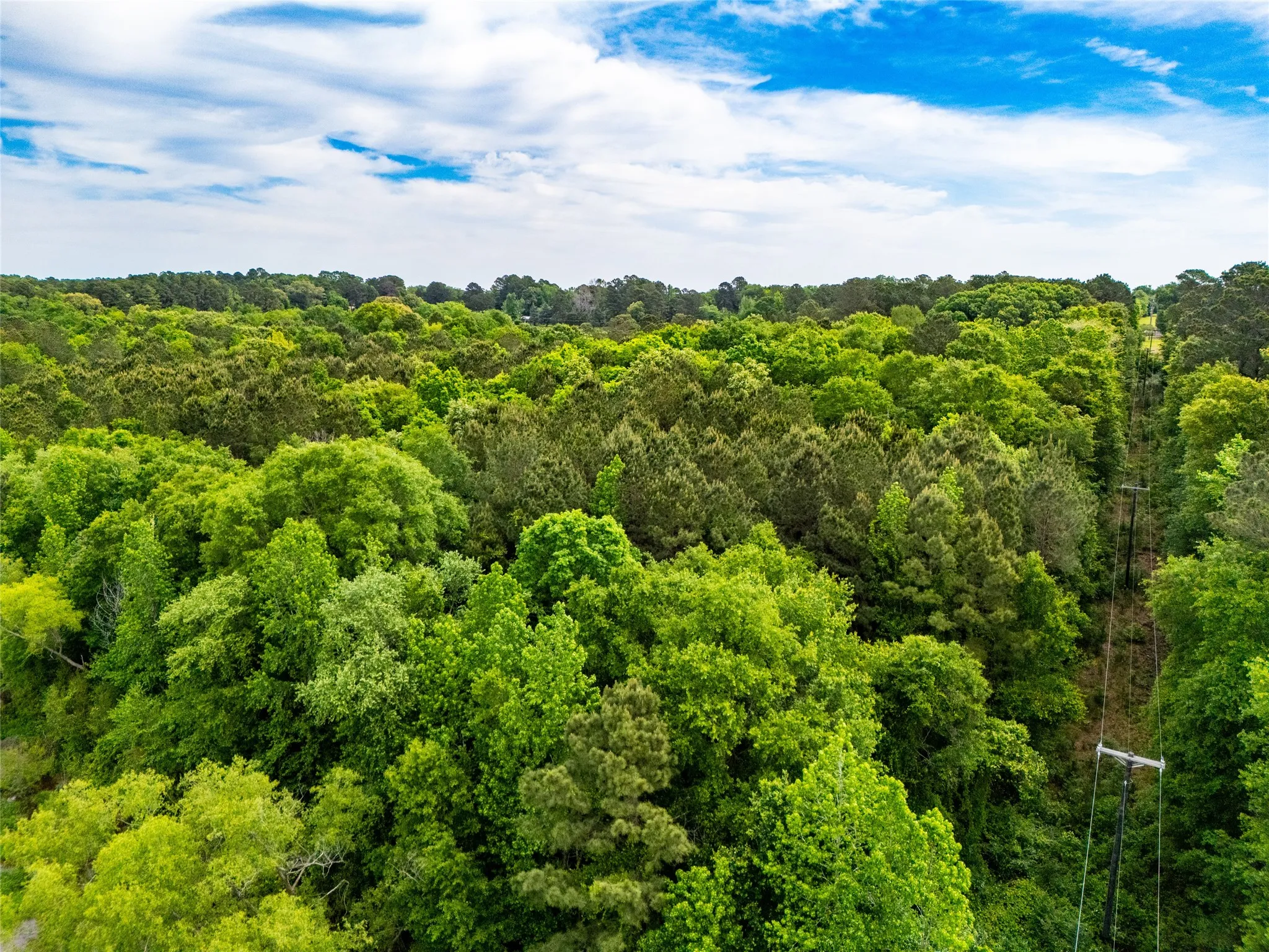 Unimproved Land For Sale in Upshur County , tbd White Oak Road, Big Sandy, Texas 75755, 0, 0, Garage spaces, 0 Sqft, built in 0, mls#21254182, Real Estate Agent in Big Sandy, Homes For Sale in Upshur county, Homes For Sale in Big Sandy, Realtor in Big Sandy Texas, Real Estate Brokerage Independent Realty Texas, Luminita Cordes Realtor