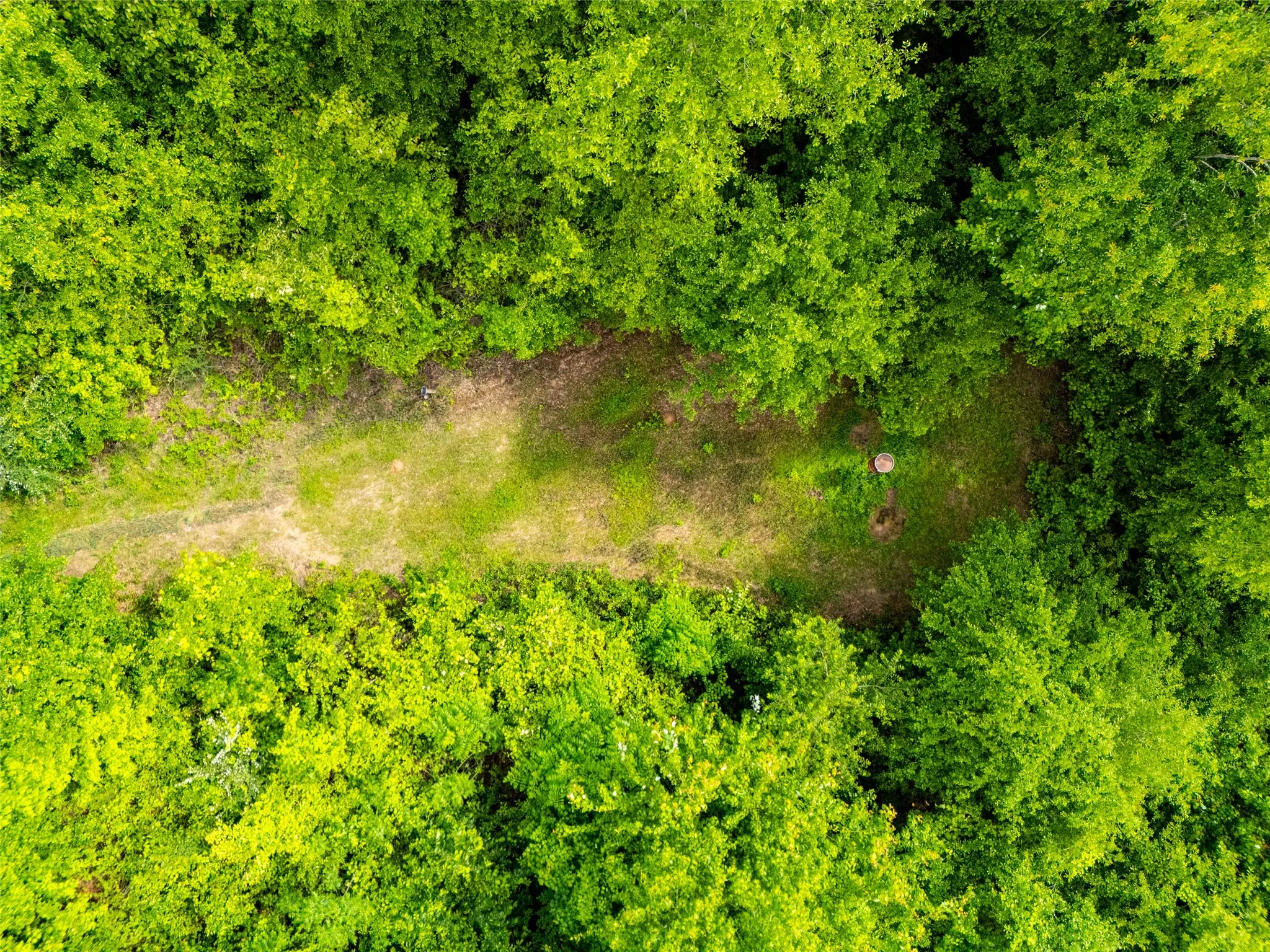 Unimproved Land For Sale in Upshur County , tbd White Oak Road, Big Sandy, Texas 75755, 0, 0, Garage spaces, 0 Sqft, built in 0, mls#21254182, Real Estate Agent in Big Sandy, Homes For Sale in Upshur county, Homes For Sale in Big Sandy, Realtor in Big Sandy Texas, Real Estate Brokerage Independent Realty Texas, Luminita Cordes Realtor