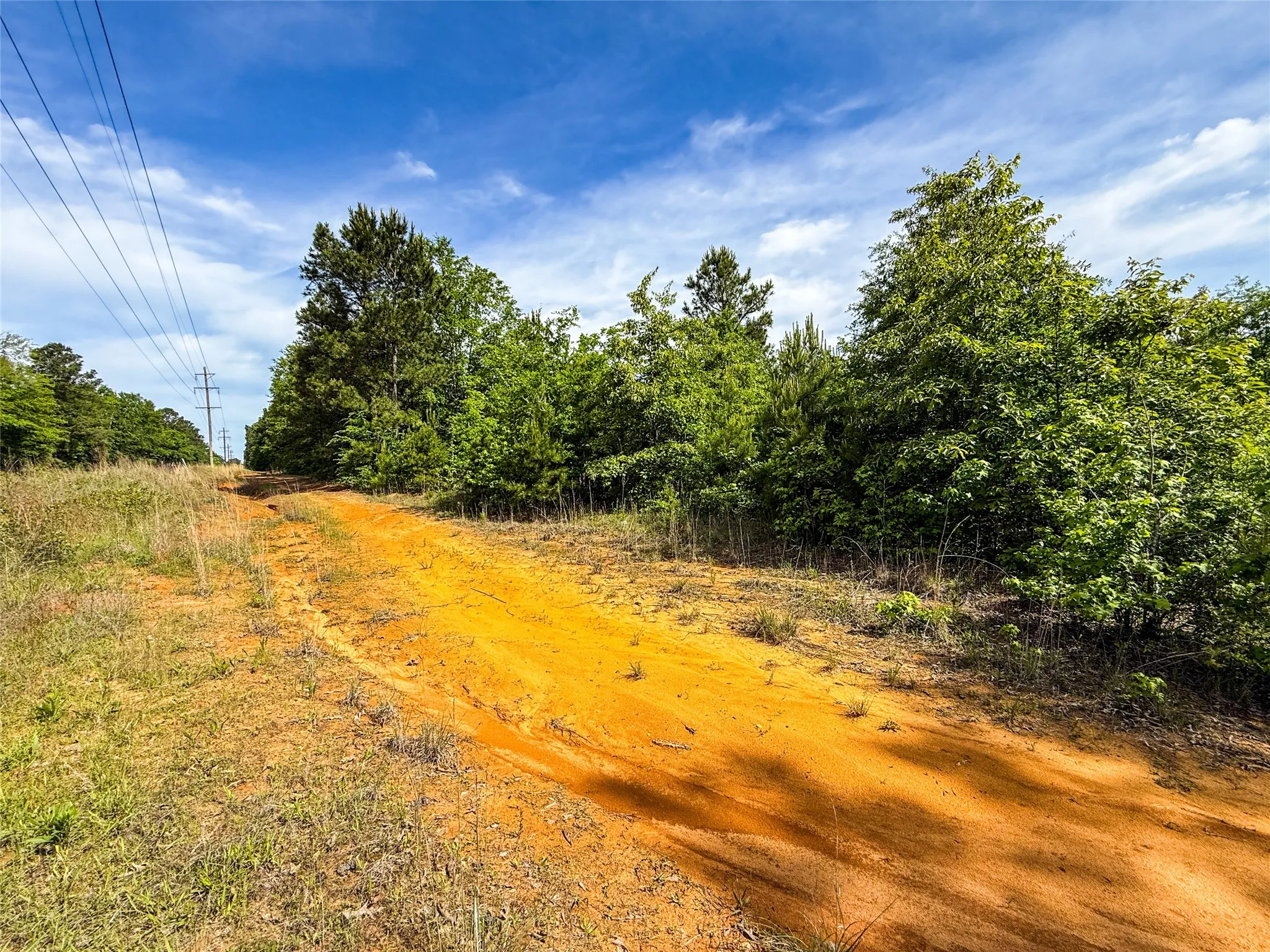 Unimproved Land For Sale in Upshur County , tbd White Oak Road, Big Sandy, Texas 75755, 0, 0, Garage spaces, 0 Sqft, built in 0, mls#21254182, Real Estate Agent in Big Sandy, Homes For Sale in Upshur county, Homes For Sale in Big Sandy, Realtor in Big Sandy Texas, Real Estate Brokerage Independent Realty Texas, Luminita Cordes Realtor