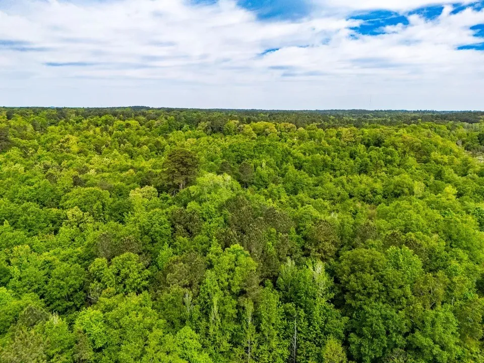 Unimproved Land For Sale in Upshur County , tbd White Oak Road, Big Sandy, Texas 75755, 0, 0, Garage spaces, 0 Sqft, built in 0, mls#21254182, Real Estate Agent in Big Sandy, Homes For Sale in Upshur county, Homes For Sale in Big Sandy, Realtor in Big Sandy Texas, Real Estate Brokerage Independent Realty Texas, Luminita Cordes Realtor