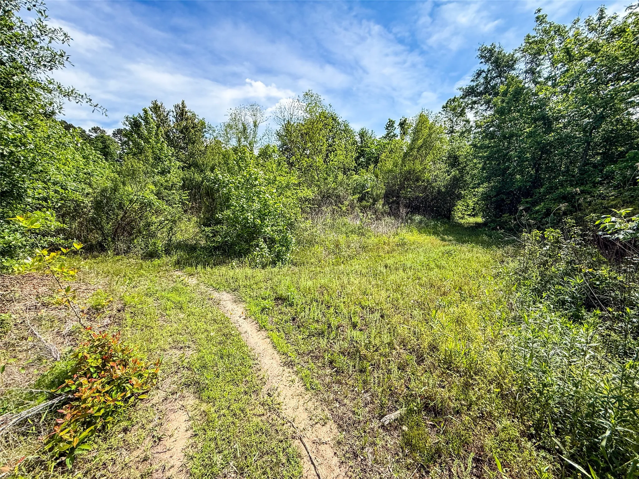 Unimproved Land For Sale in Upshur County , tbd White Oak Road, Big Sandy, Texas 75755, 0, 0, Garage spaces, 0 Sqft, built in 0, mls#21254182, Real Estate Agent in Big Sandy, Homes For Sale in Upshur county, Homes For Sale in Big Sandy, Realtor in Big Sandy Texas, Real Estate Brokerage Independent Realty Texas, Luminita Cordes Realtor