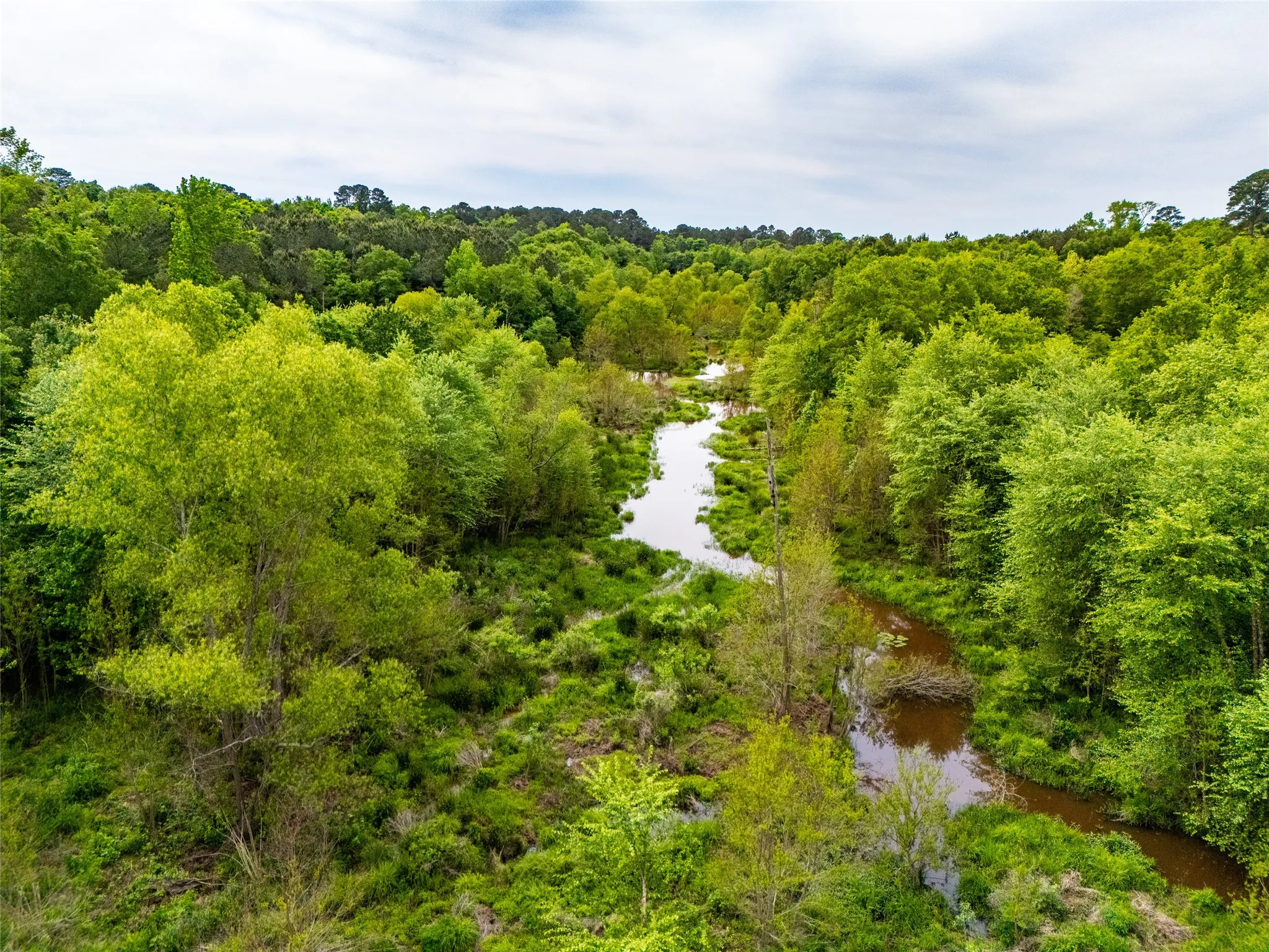 Unimproved Land For Sale in Upshur County , tbd White Oak Road, Big Sandy, Texas 75755, 0, 0, Garage spaces, 0 Sqft, built in 0, mls#21254182, Real Estate Agent in Big Sandy, Homes For Sale in Upshur county, Homes For Sale in Big Sandy, Realtor in Big Sandy Texas, Real Estate Brokerage Independent Realty Texas, Luminita Cordes Realtor