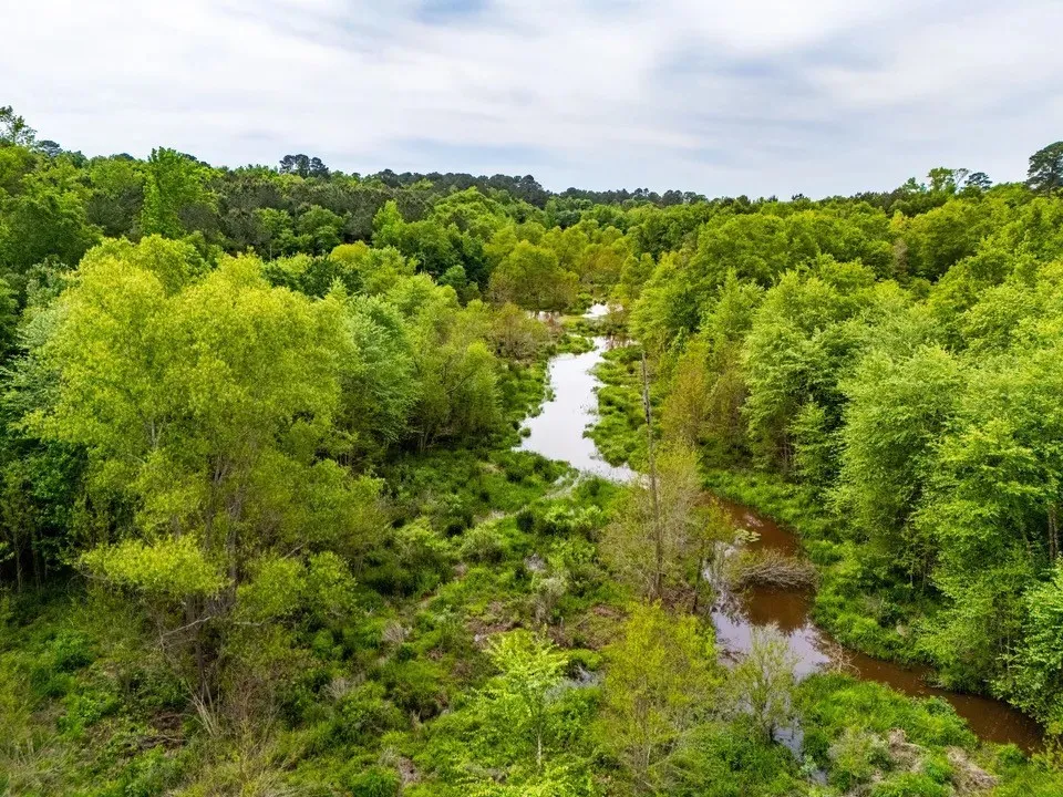 Unimproved Land For Sale in Upshur County , tbd White Oak Road, Big Sandy, Texas 75755, 0, 0, Garage spaces, 0 Sqft, built in 0, mls#21254182, Real Estate Agent in Big Sandy, Homes For Sale in Upshur county, Homes For Sale in Big Sandy, Realtor in Big Sandy Texas, Real Estate Brokerage Independent Realty Texas, Luminita Cordes Realtor