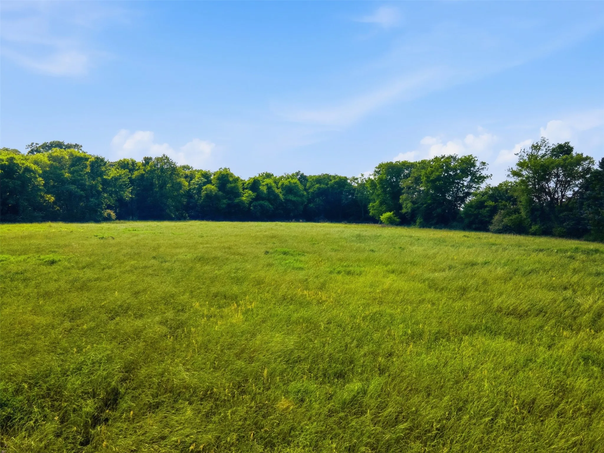 Improved Land For Sale in Titus County , 0000 CR 1200, Mt Pleasant, Texas 75455, 0, 0, Garage spaces, 0 Sqft, built in 0, mls#21294004, Real Estate Agent in Mt Pleasant, Homes For Sale in Titus county, Homes For Sale in Mt Pleasant, Realtor in Mt Pleasant Texas, Real Estate Brokerage Independent Realty Texas, Luminita Cordes Realtor