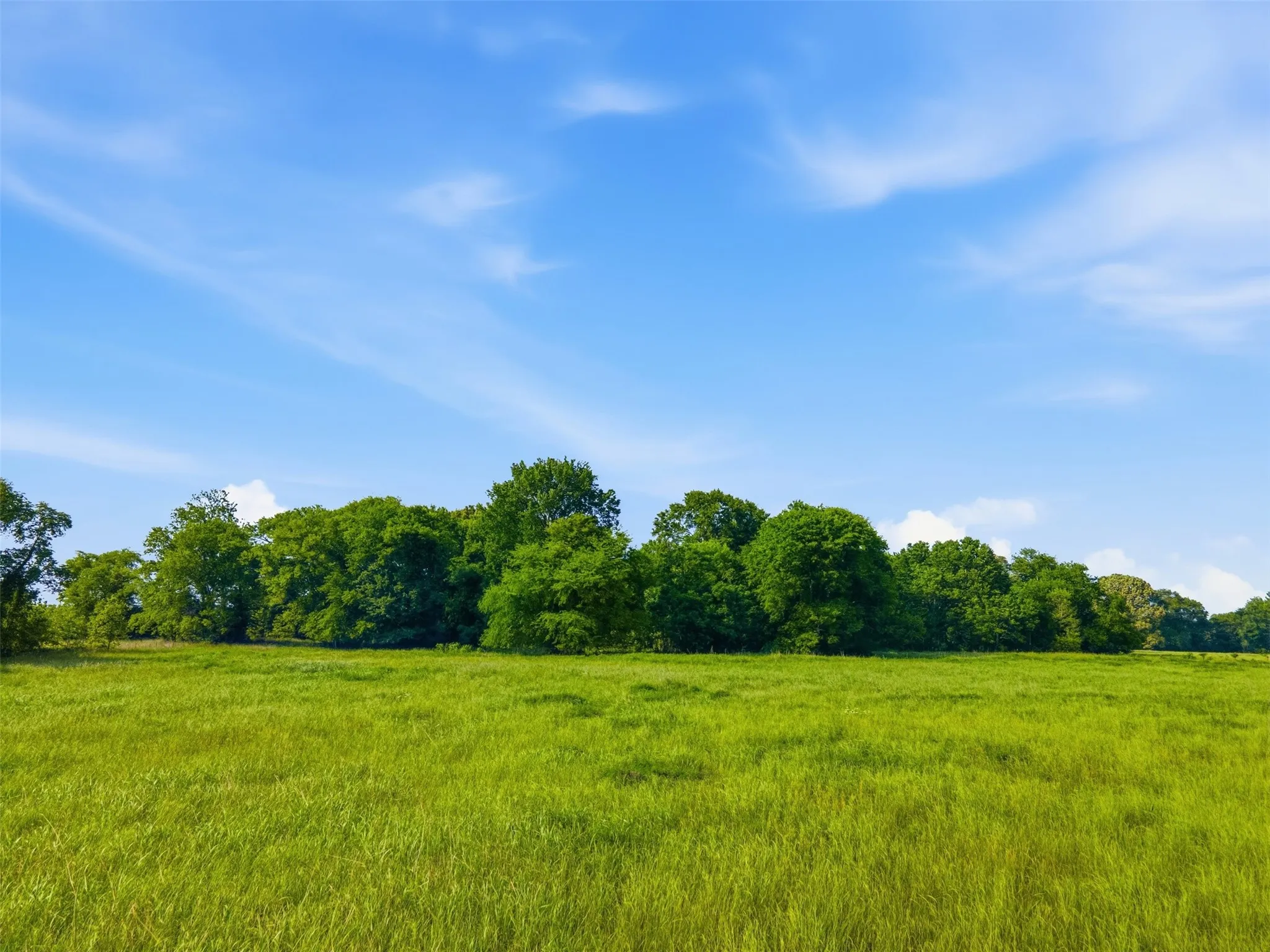 Improved Land For Sale in Titus County , 0000 CR 1200, Mt Pleasant, Texas 75455, 0, 0, Garage spaces, 0 Sqft, built in 0, mls#21294004, Real Estate Agent in Mt Pleasant, Homes For Sale in Titus county, Homes For Sale in Mt Pleasant, Realtor in Mt Pleasant Texas, Real Estate Brokerage Independent Realty Texas, Luminita Cordes Realtor