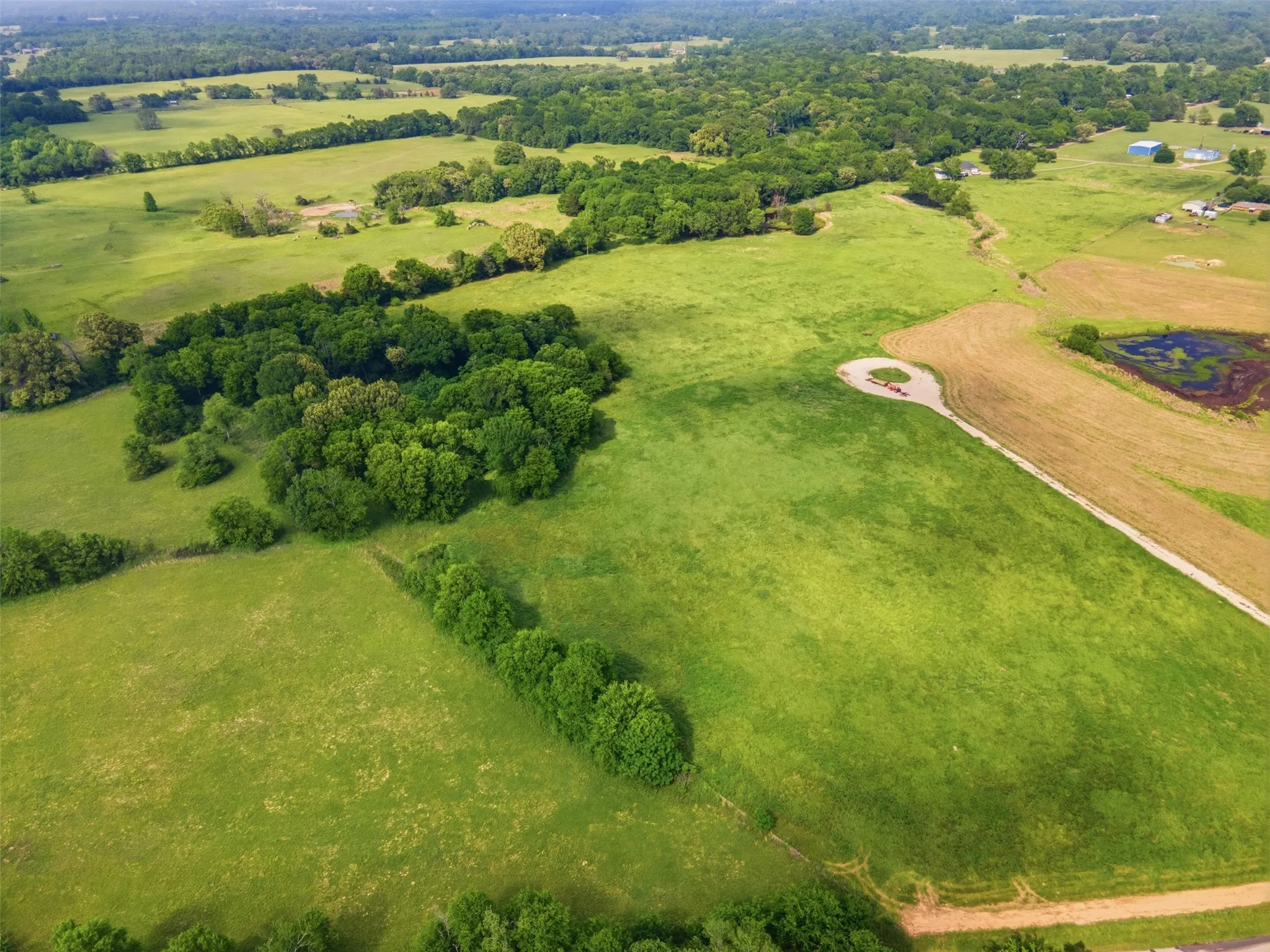Improved Land For Sale in Titus County , 0000 CR 1200, Mt Pleasant, Texas 75455, 0, 0, Garage spaces, 0 Sqft, built in 0, mls#21294004, Real Estate Agent in Mt Pleasant, Homes For Sale in Titus county, Homes For Sale in Mt Pleasant, Realtor in Mt Pleasant Texas, Real Estate Brokerage Independent Realty Texas, Luminita Cordes Realtor
