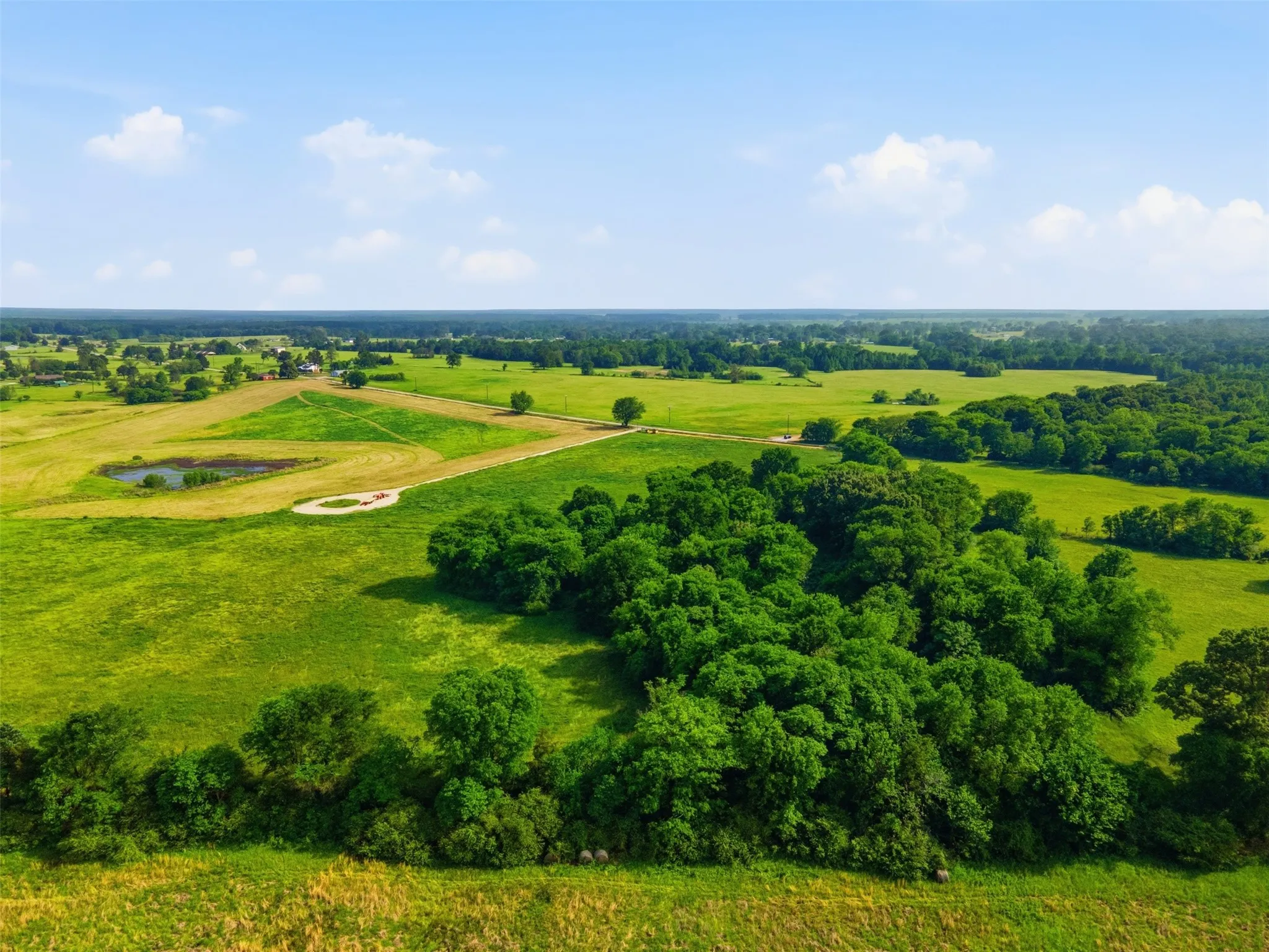Improved Land For Sale in Titus County , 0000 CR 1200, Mt Pleasant, Texas 75455, 0, 0, Garage spaces, 0 Sqft, built in 0, mls#21294004, Real Estate Agent in Mt Pleasant, Homes For Sale in Titus county, Homes For Sale in Mt Pleasant, Realtor in Mt Pleasant Texas, Real Estate Brokerage Independent Realty Texas, Luminita Cordes Realtor