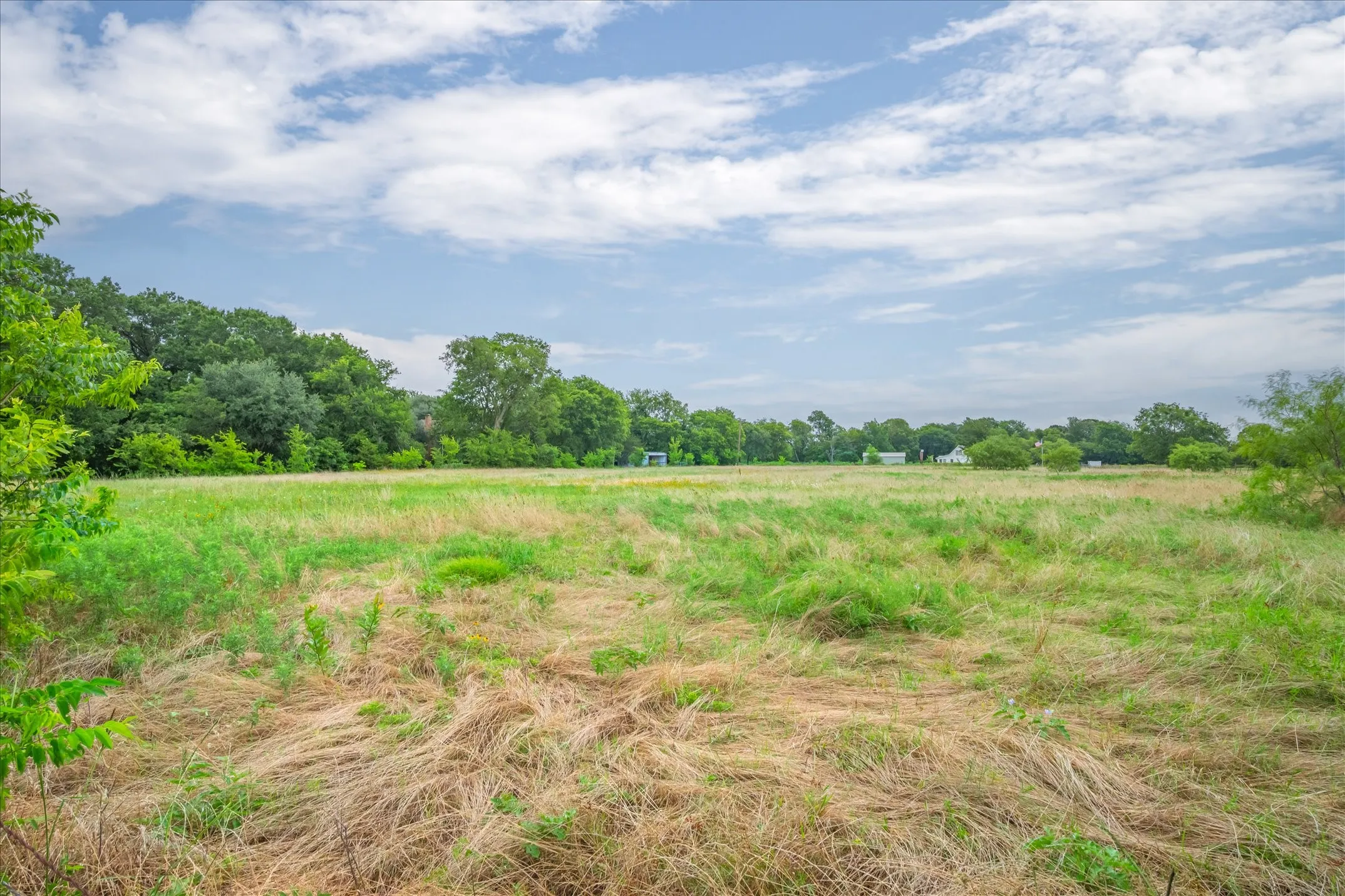 Front pasture