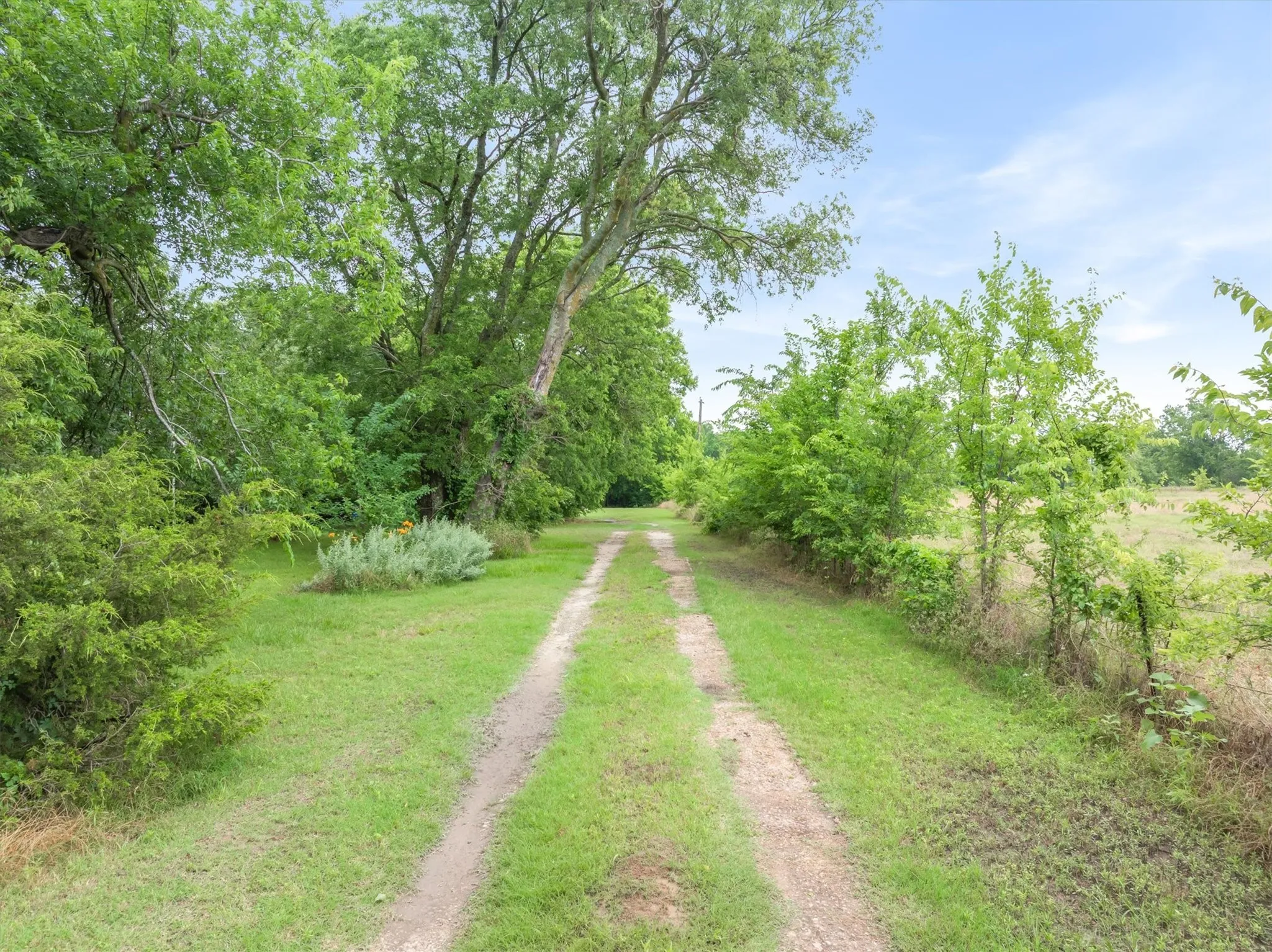 Scenic driveway to the home with pasture on the right.